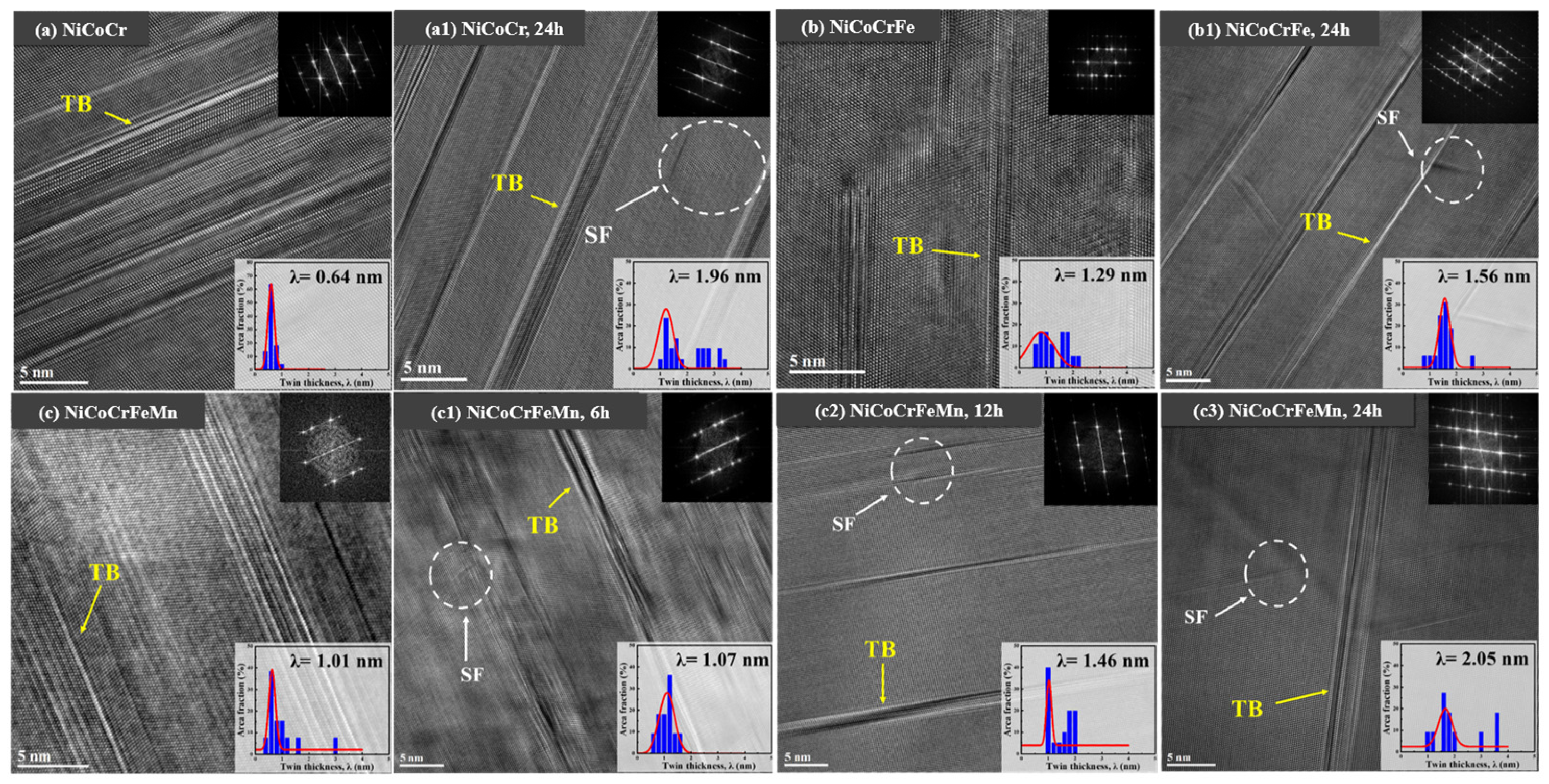 Materials 18 02862 g016