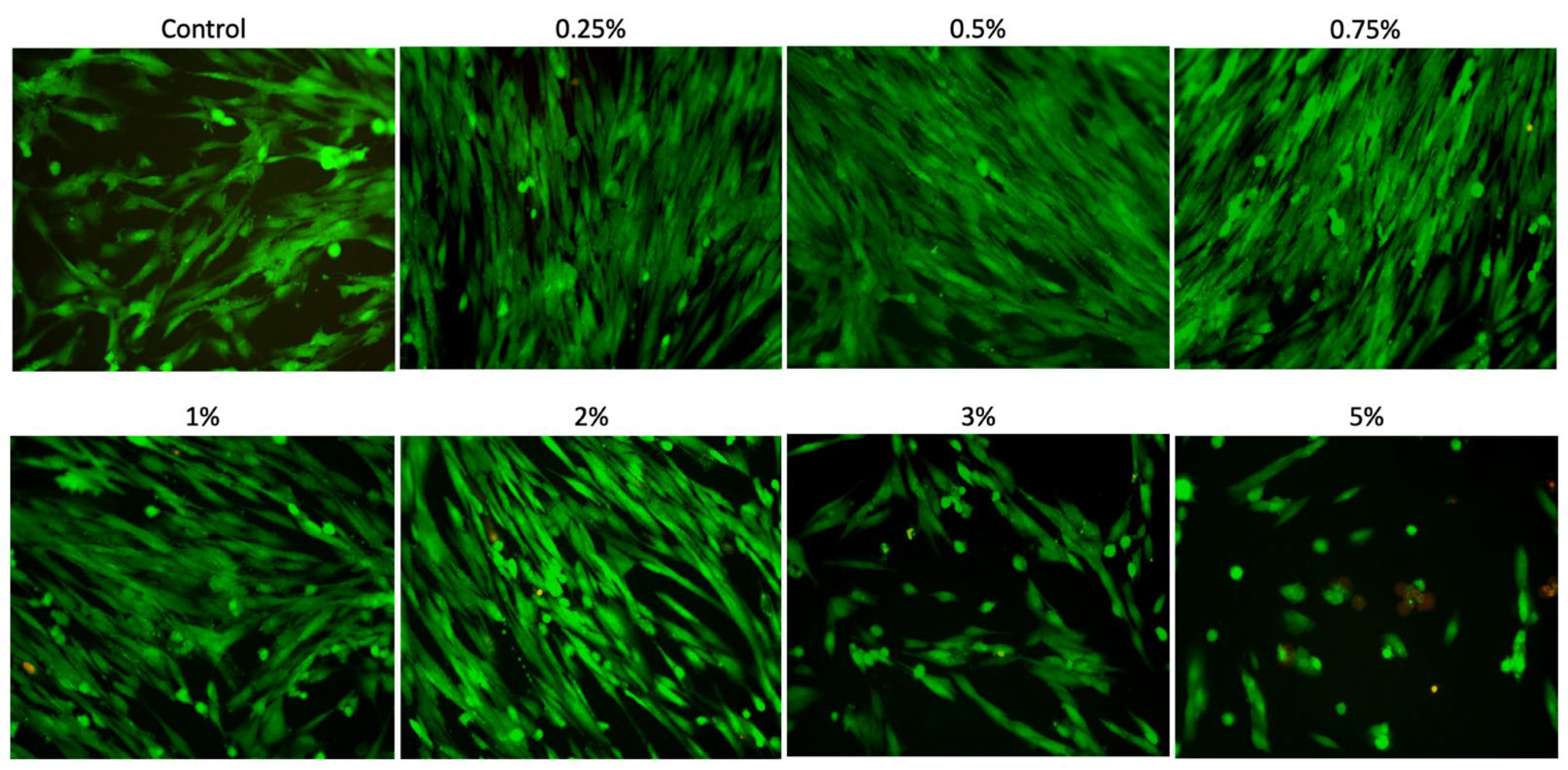 Materials 18 02874 g003