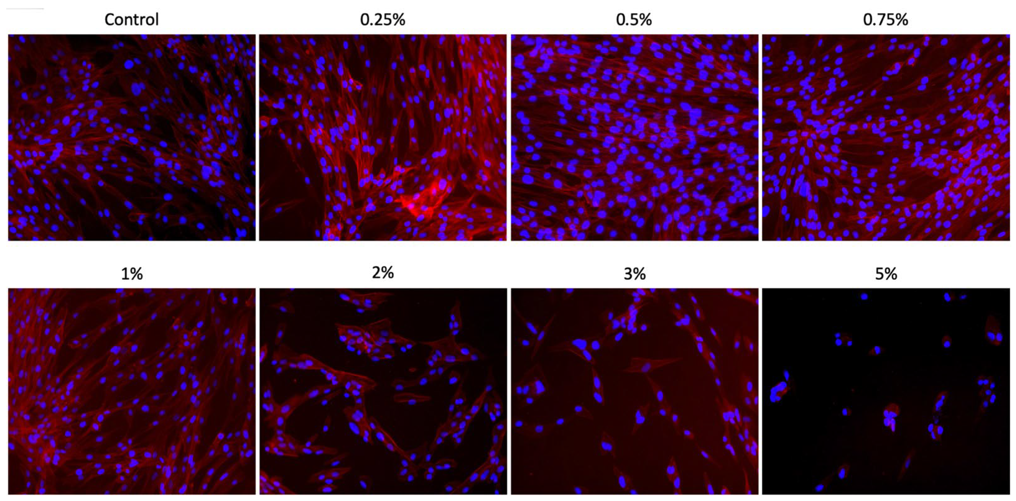Materials 18 02874 g004