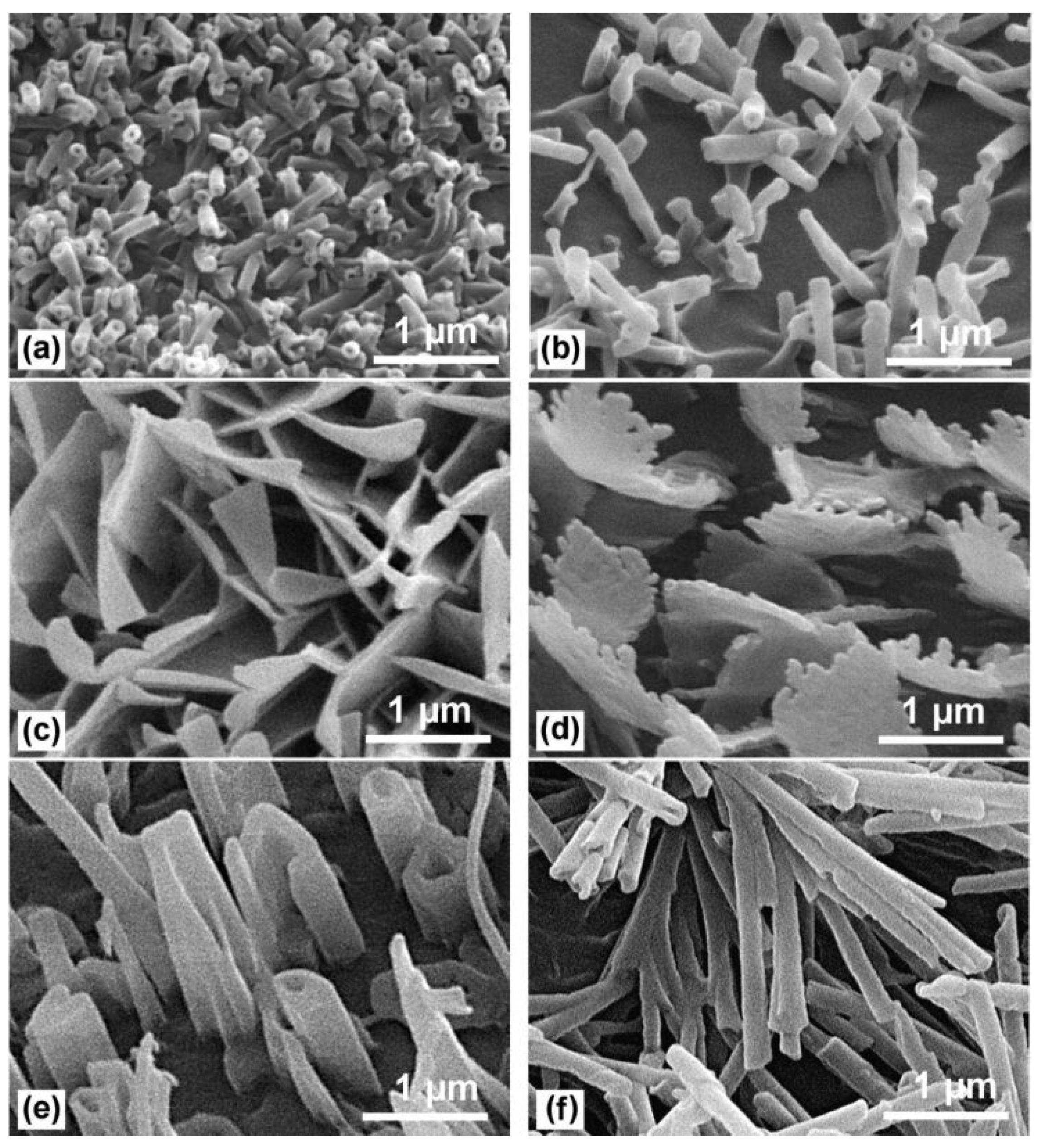 Materials 18 02890 g002