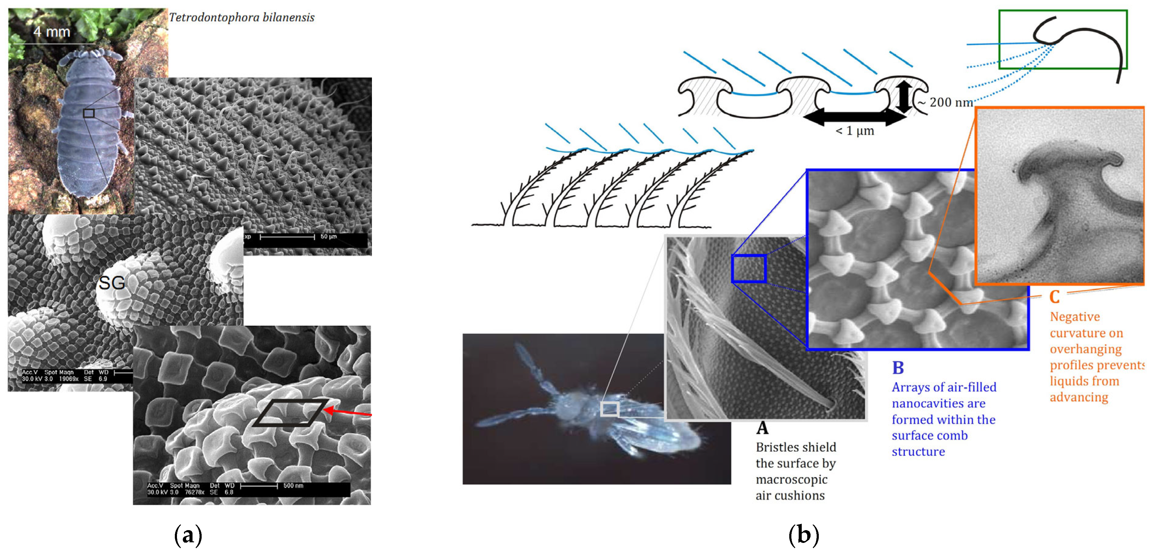 Materials 18 02890 g004