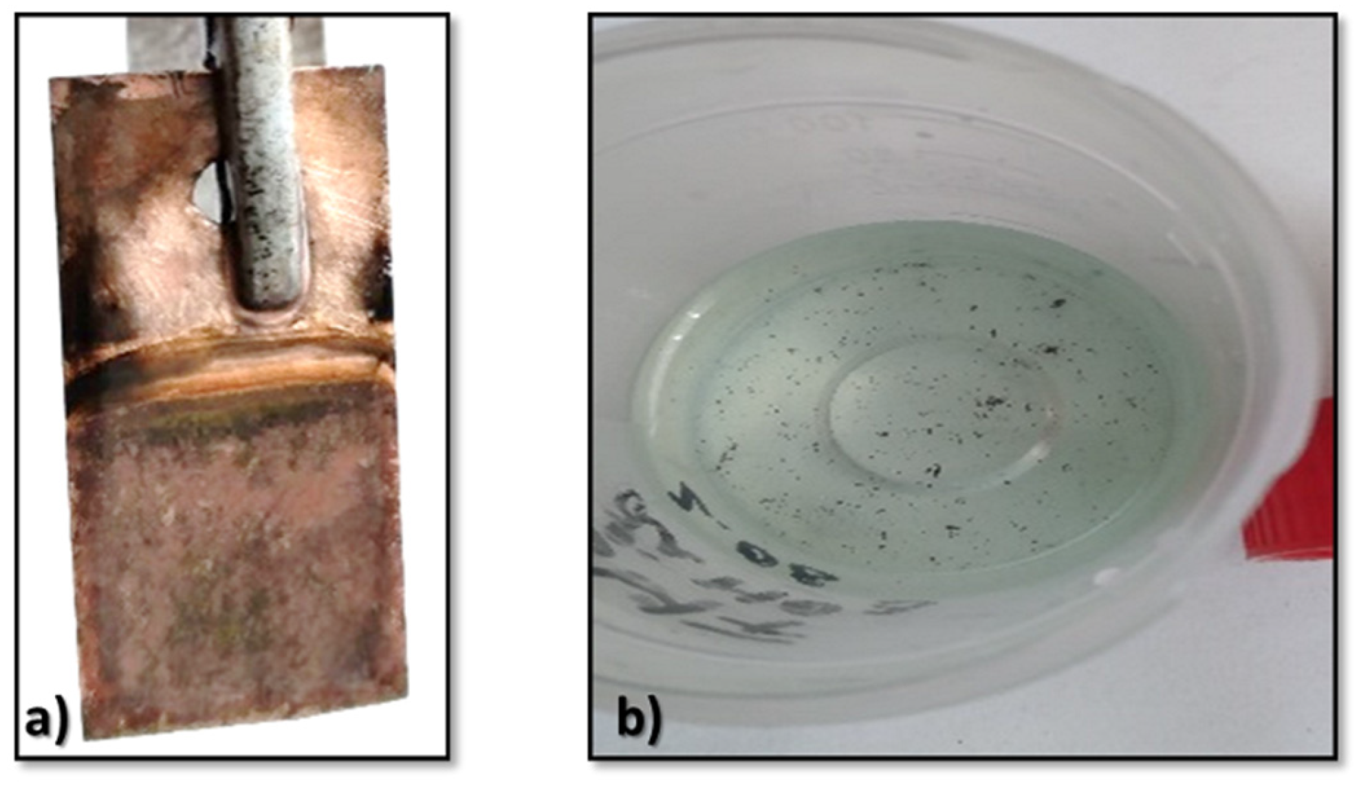 Materials 18 02899 g006