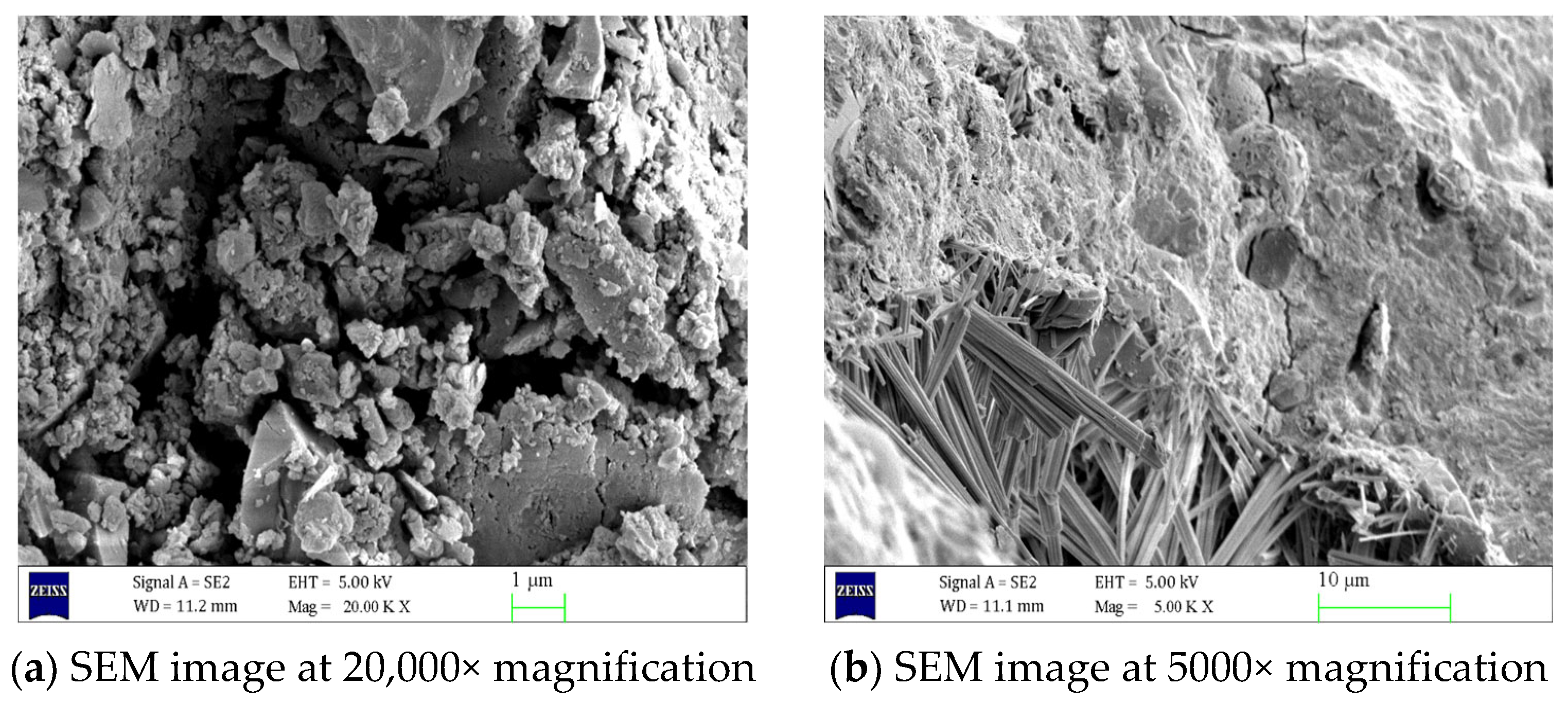 Materials 18 02904 g006