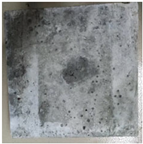 Materials 18 02904 i007