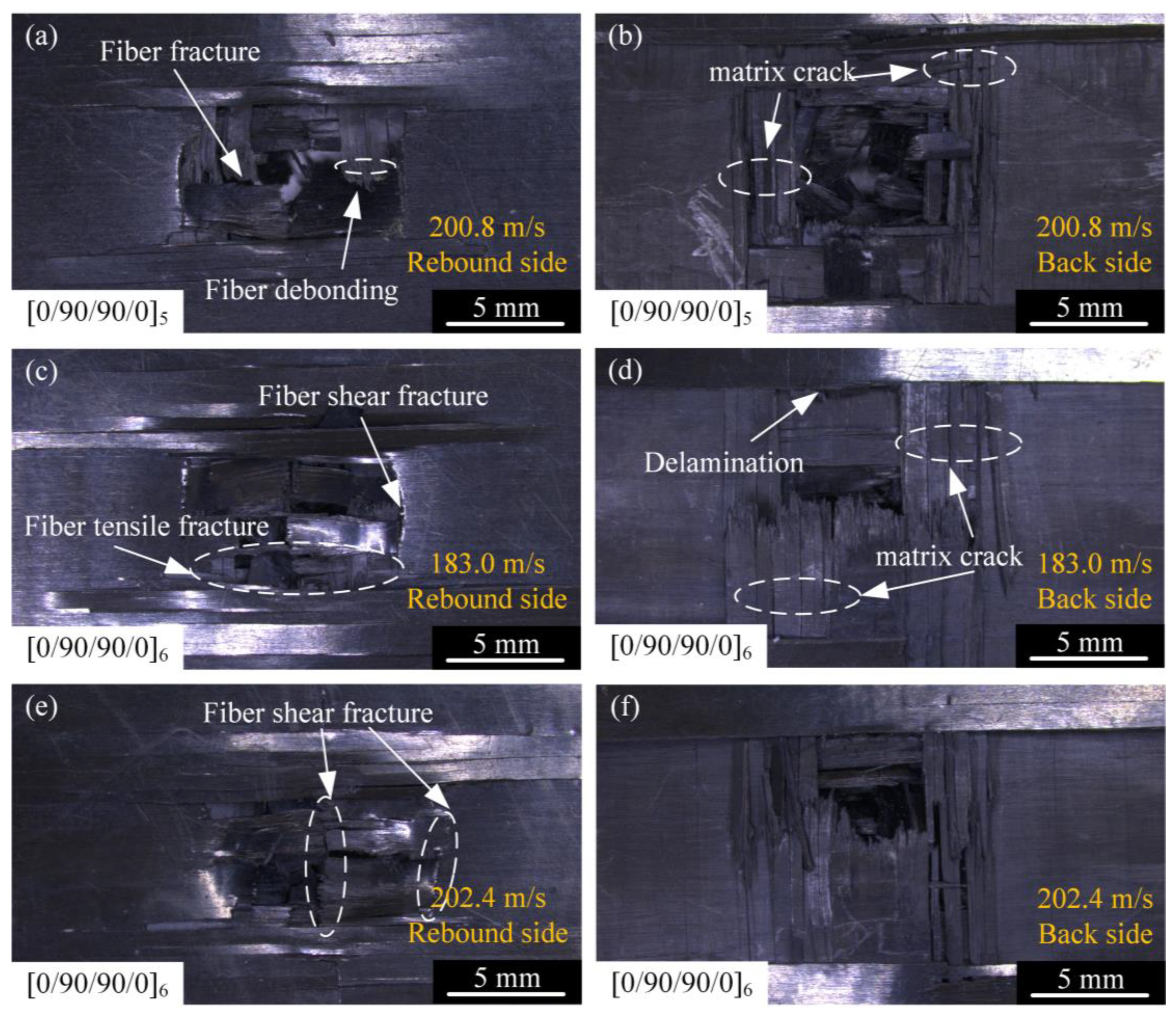 Materials 18 02906 g007