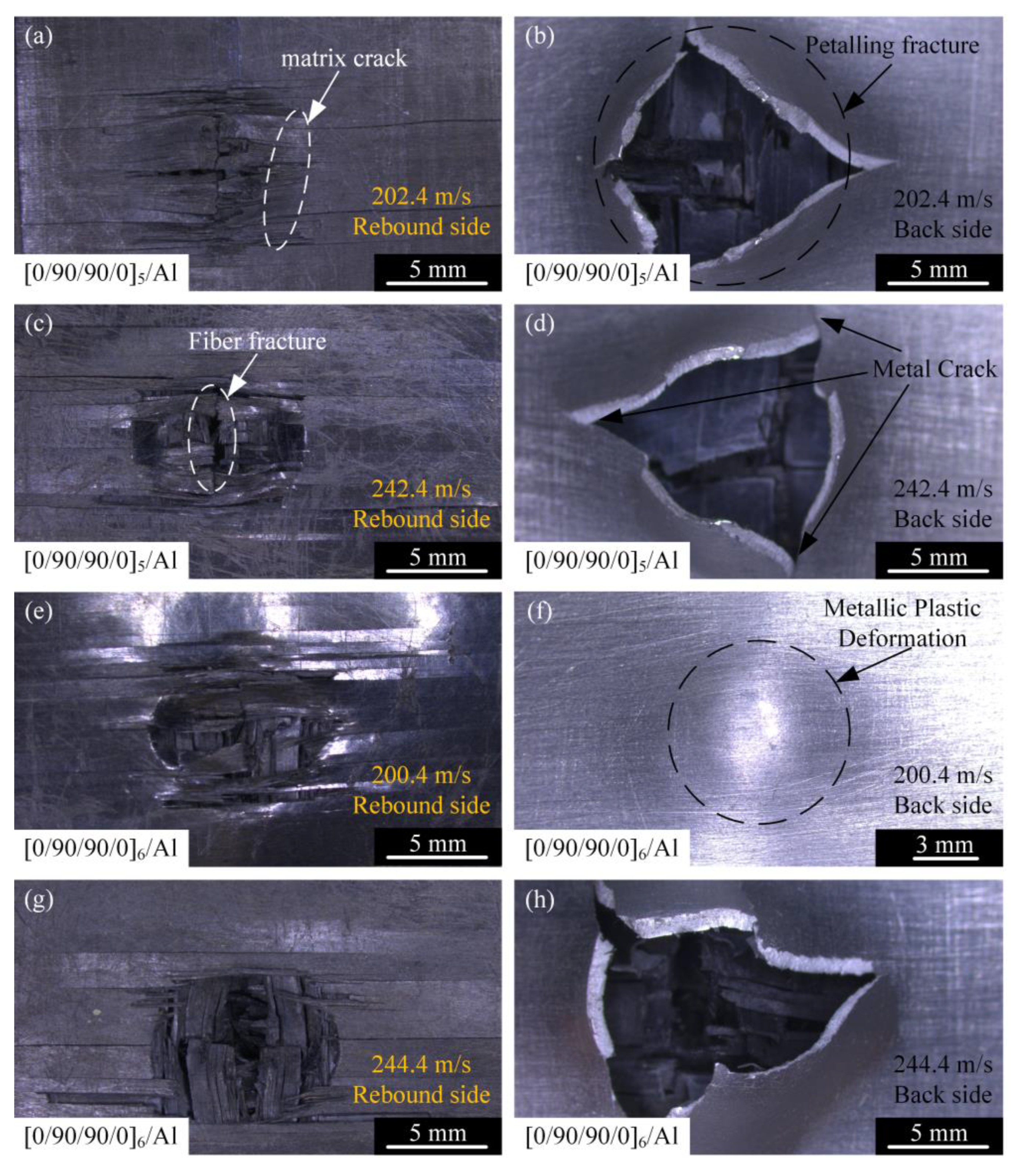 Materials 18 02906 g009