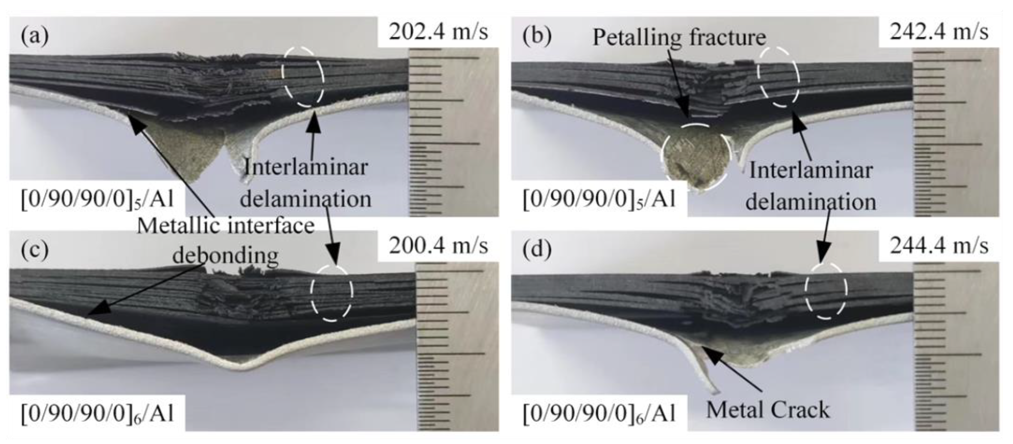Materials 18 02906 g010