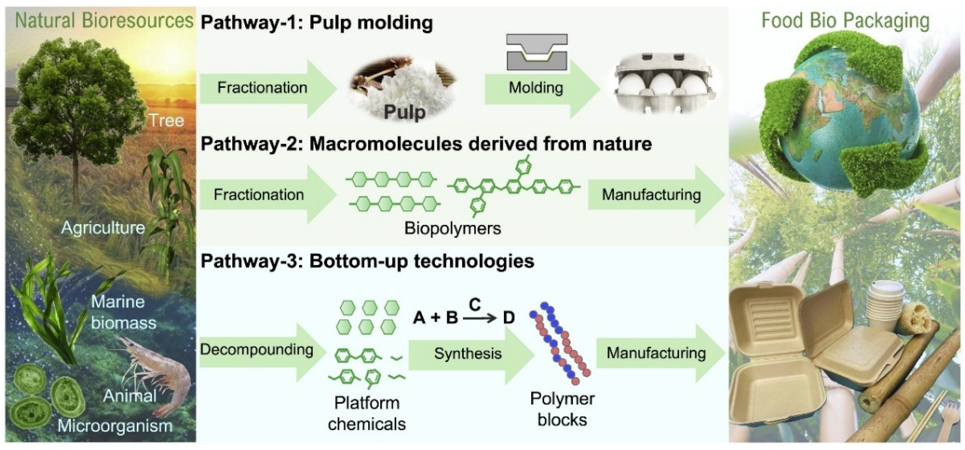 Materials 18 02919 g001