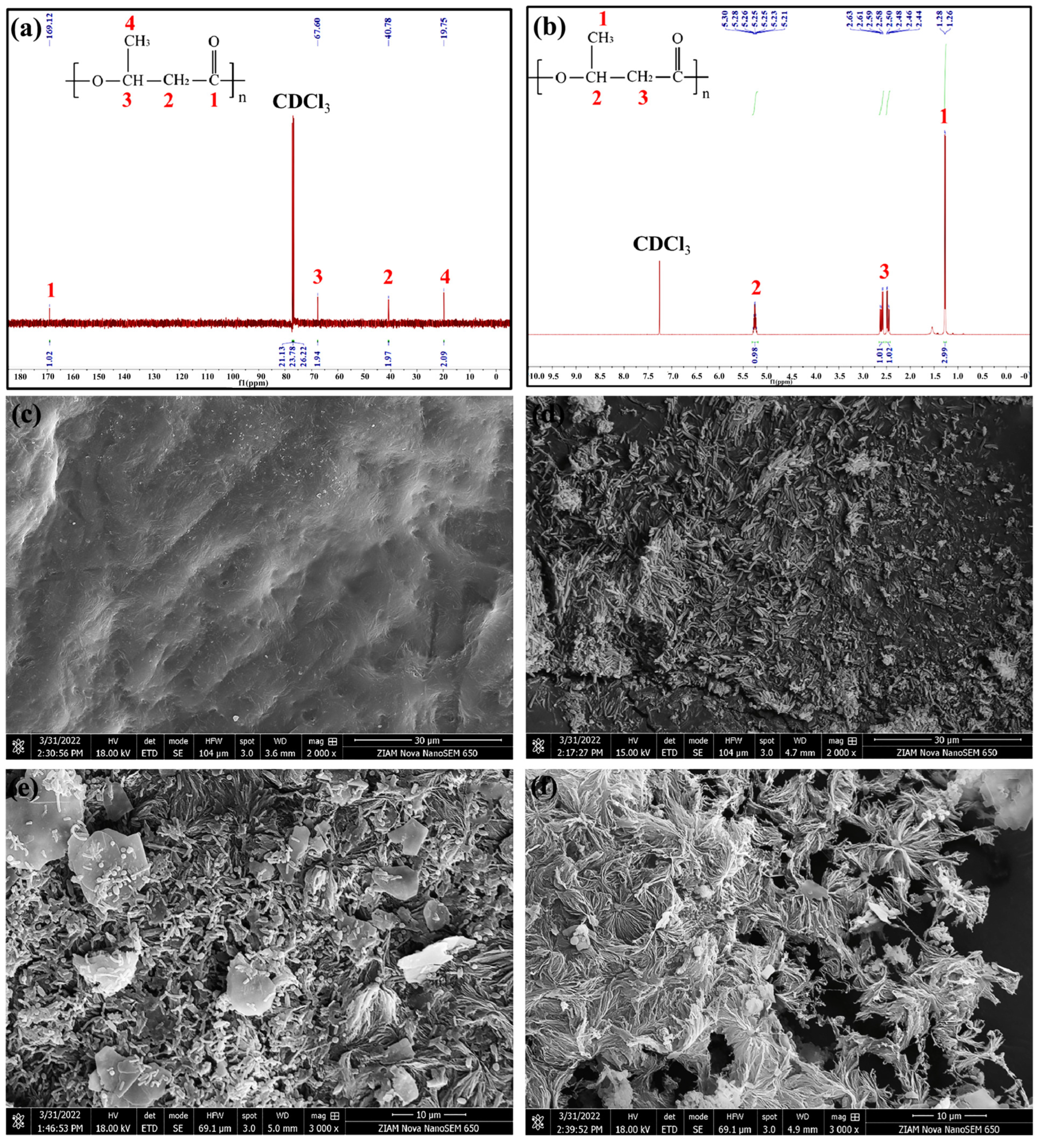 Materials 18 02919 g005