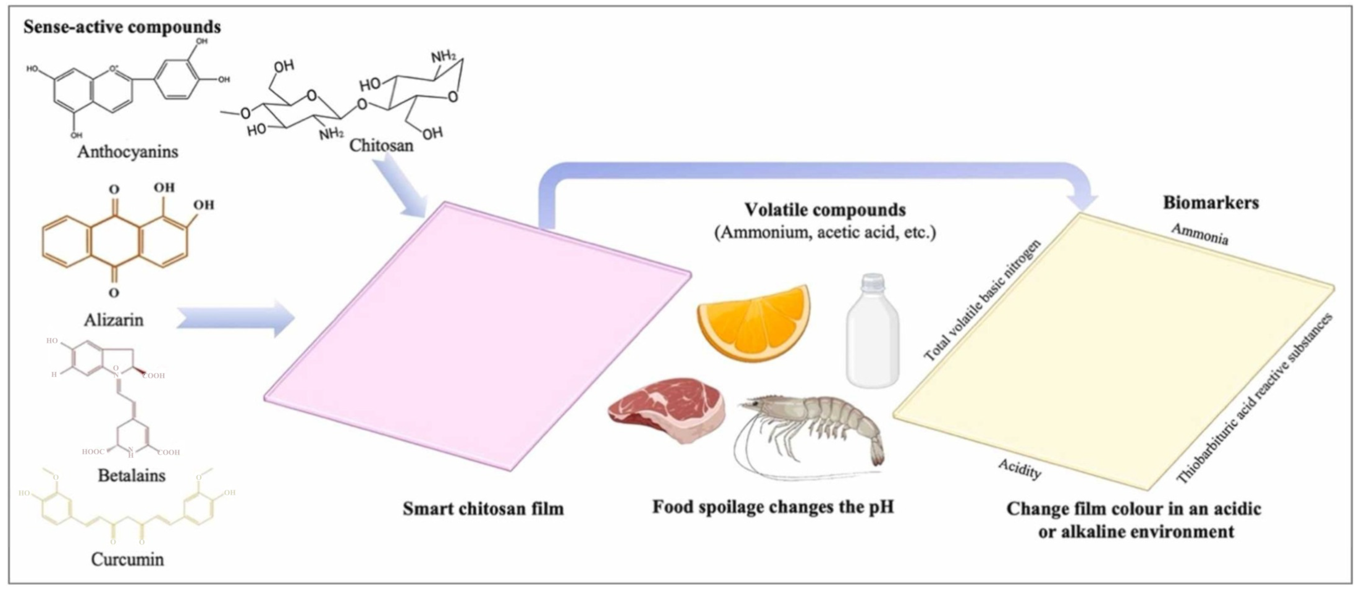 Materials 18 02919 g007