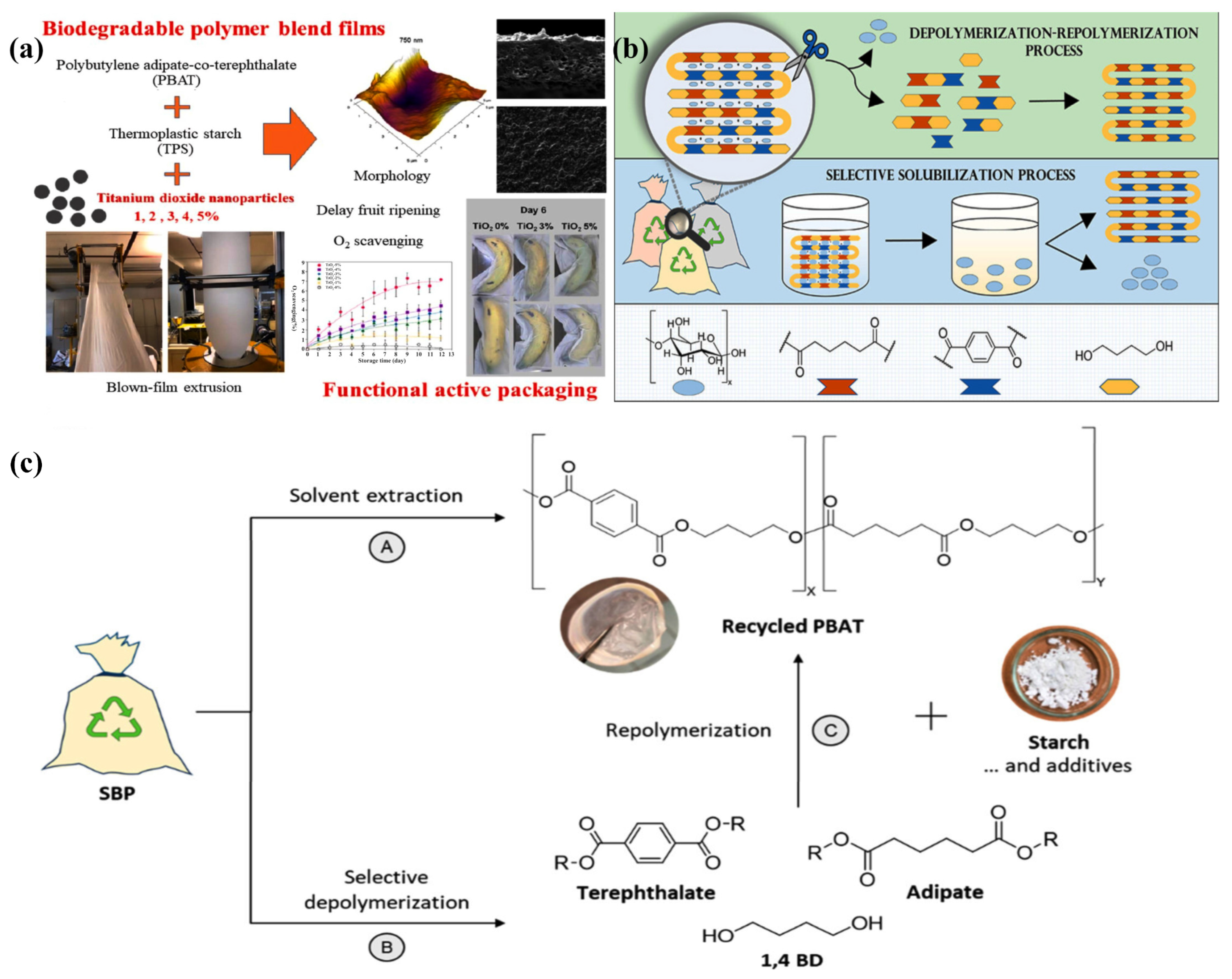 Materials 18 02919 g011