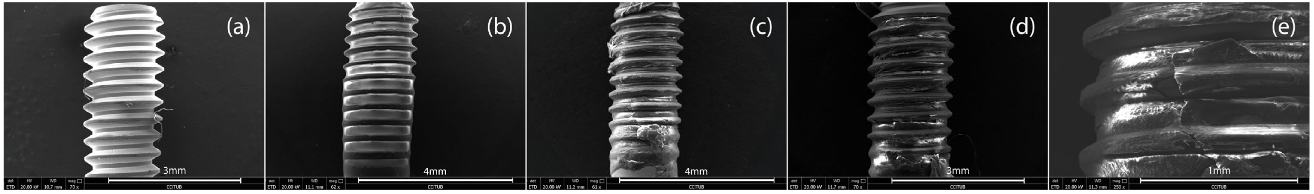 Materials 18 02921 g005