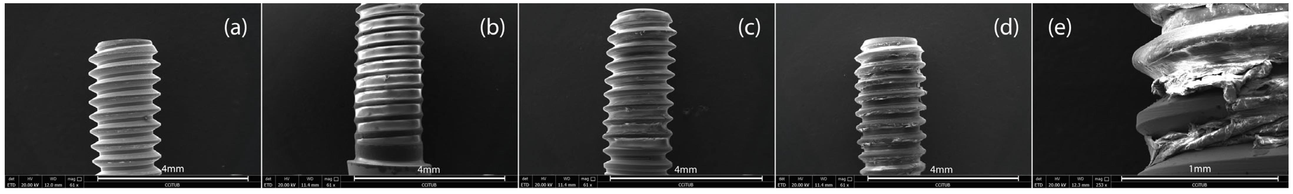 Materials 18 02921 g006