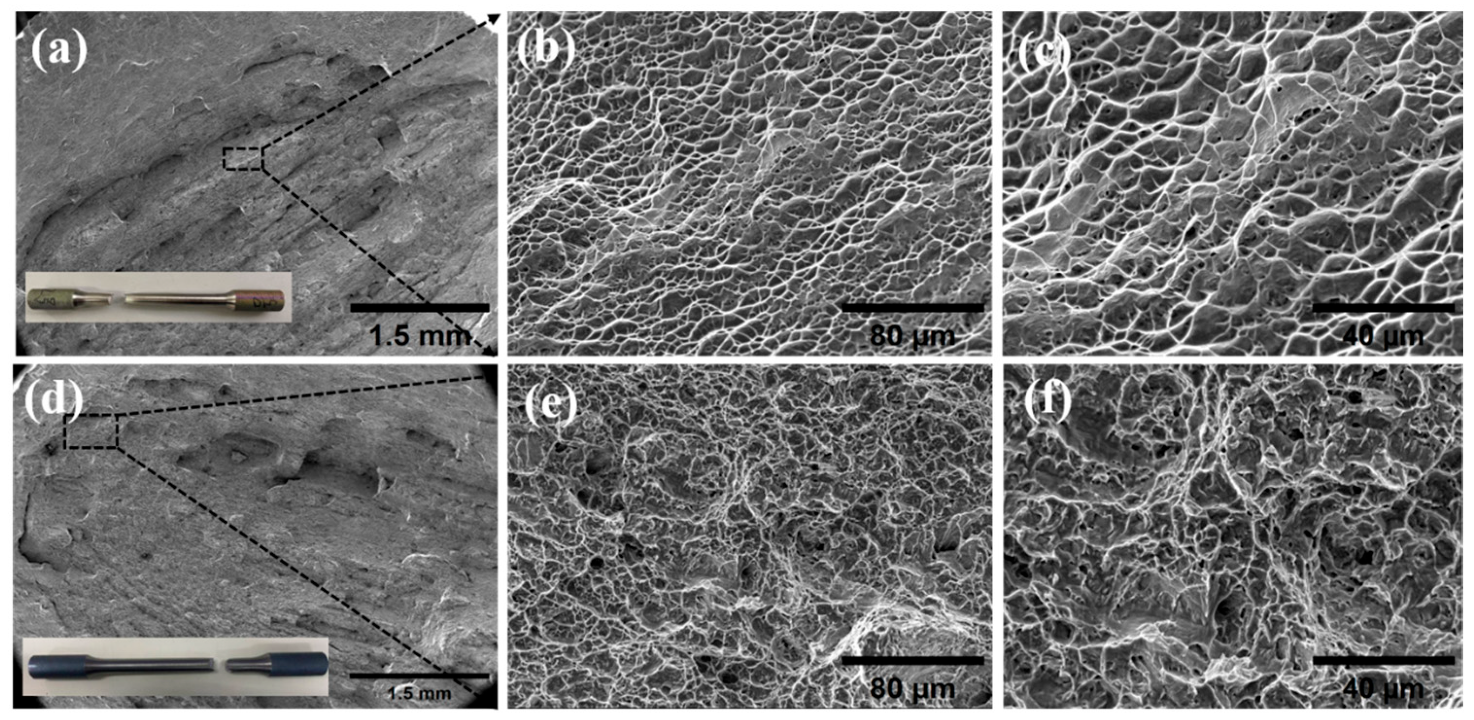 Materials 18 02937 g016