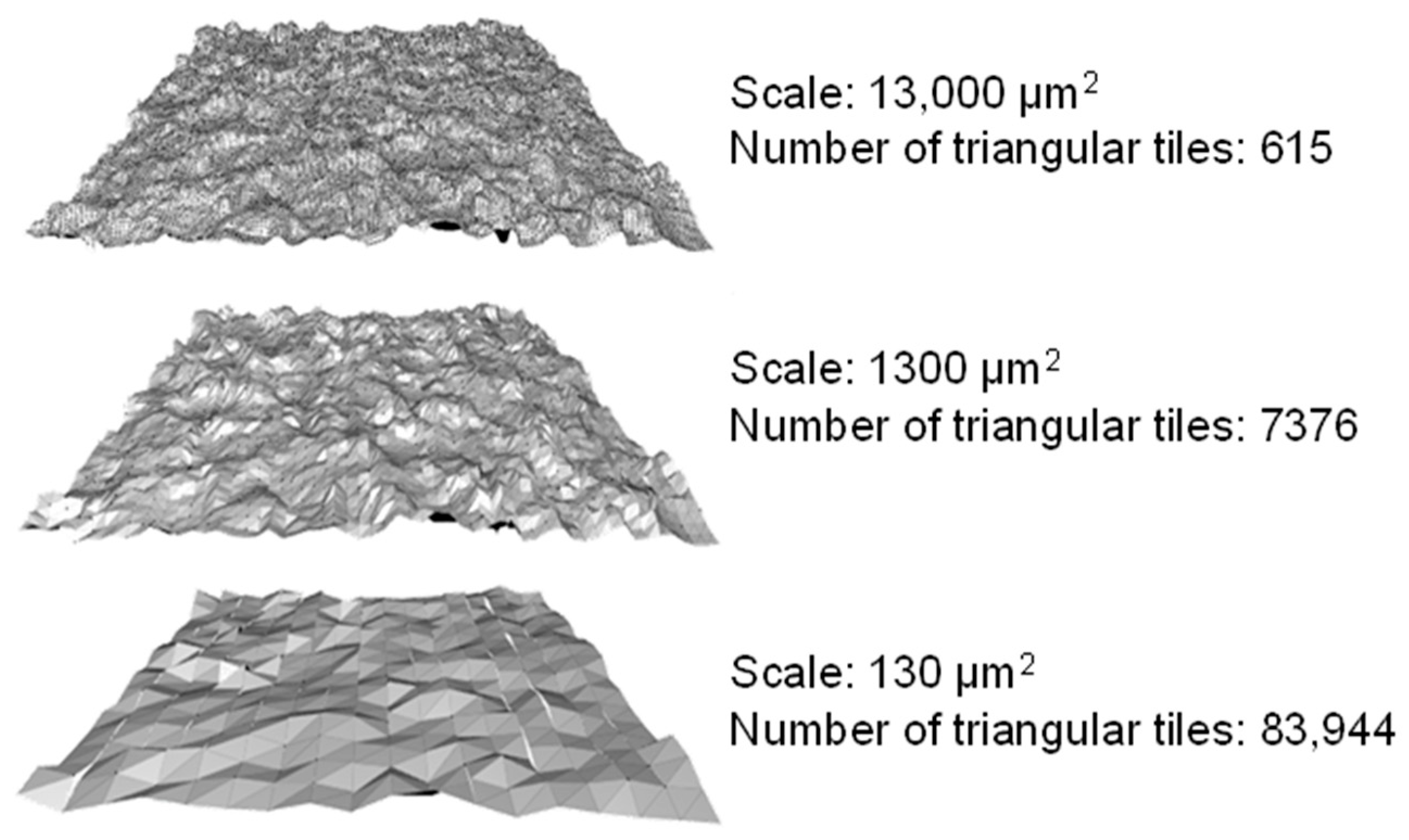 Materials 18 02939 g004
