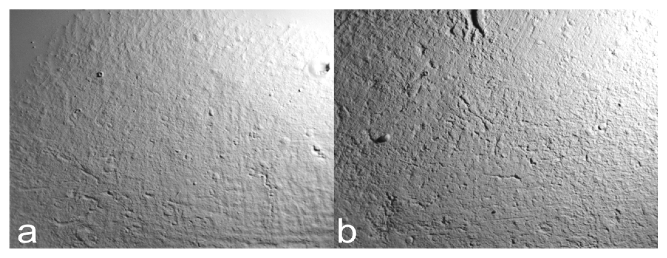 Materials 18 02939 g005