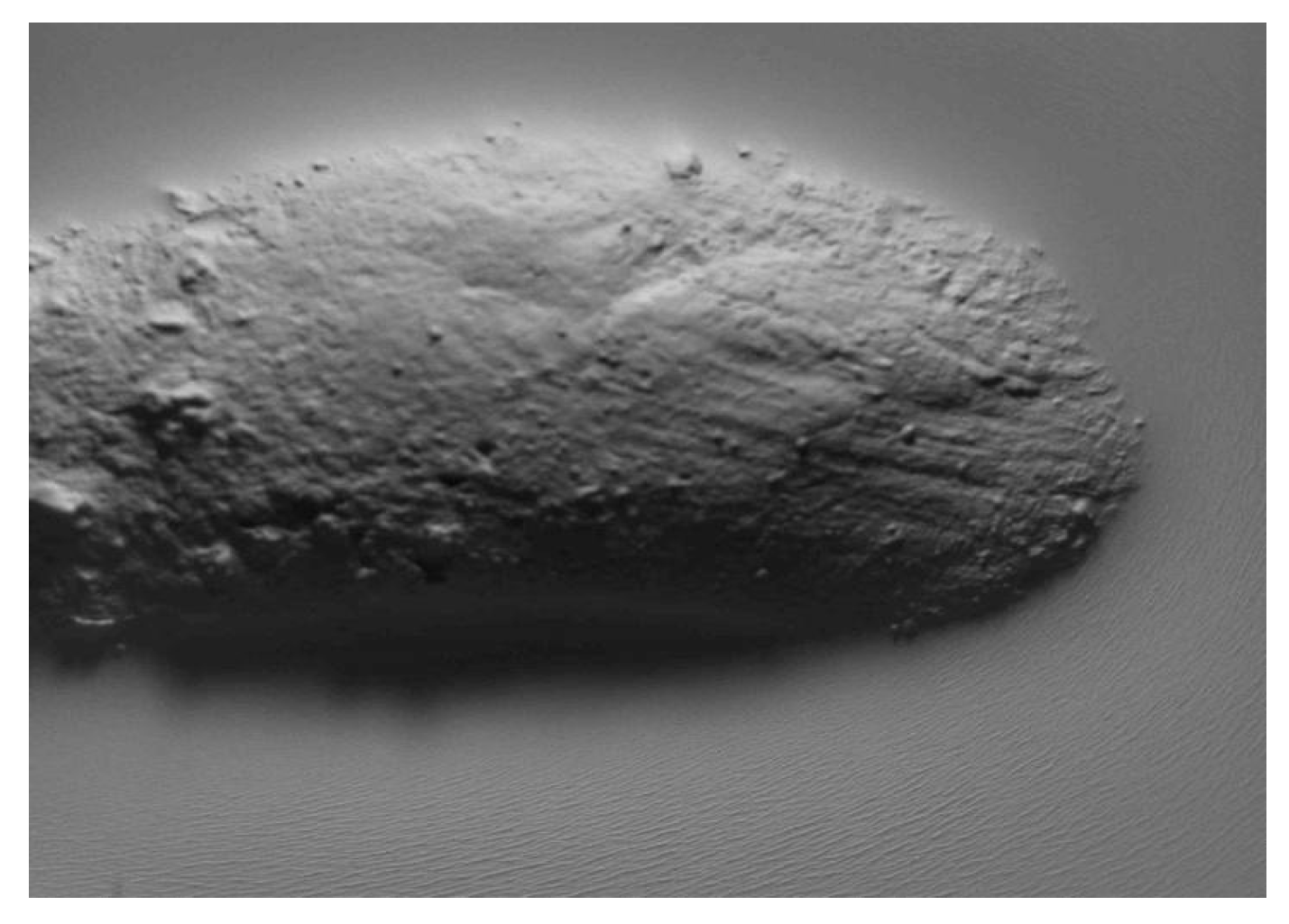 Materials 18 02939 g008