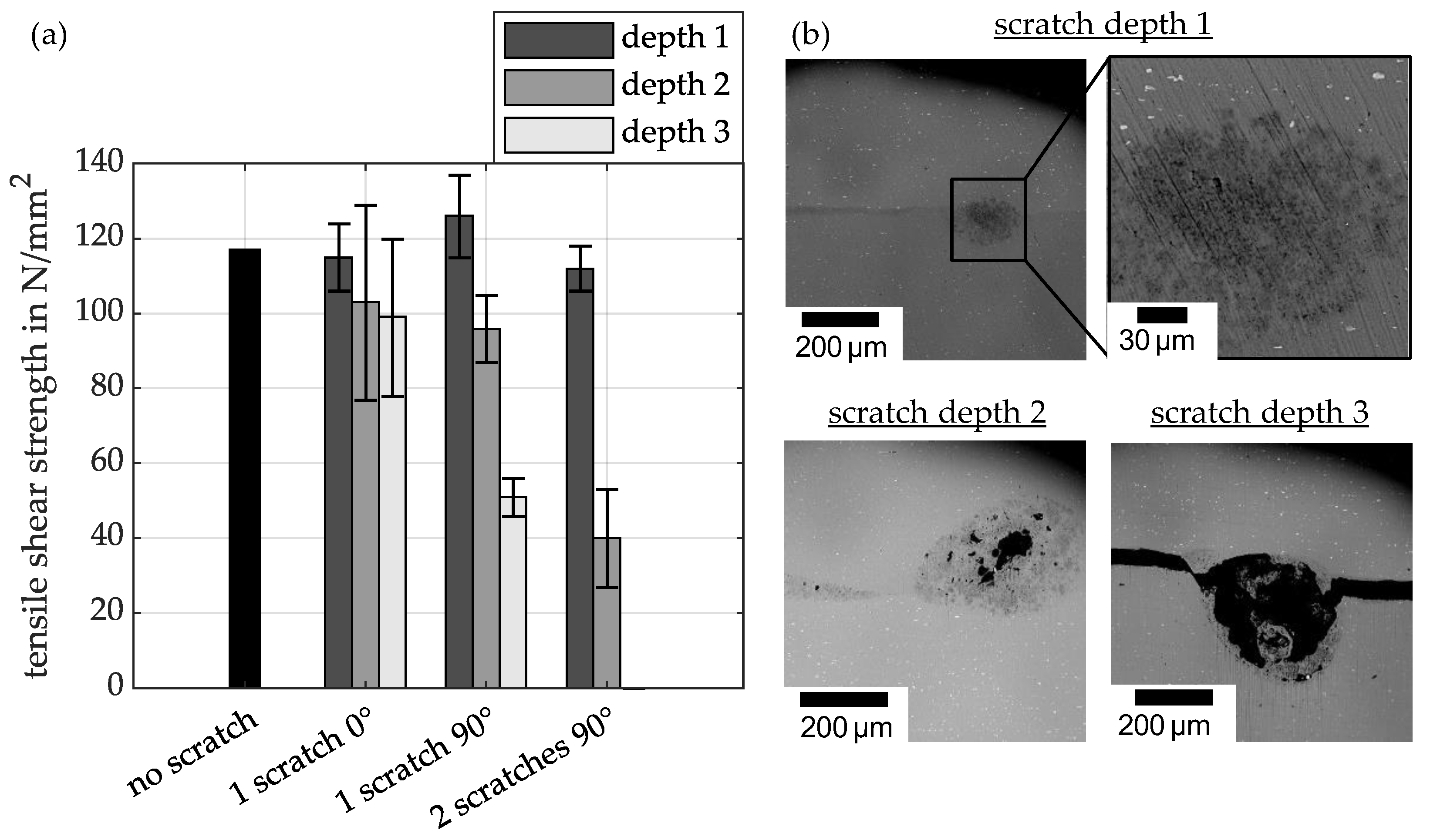 Materials 18 02944 g008