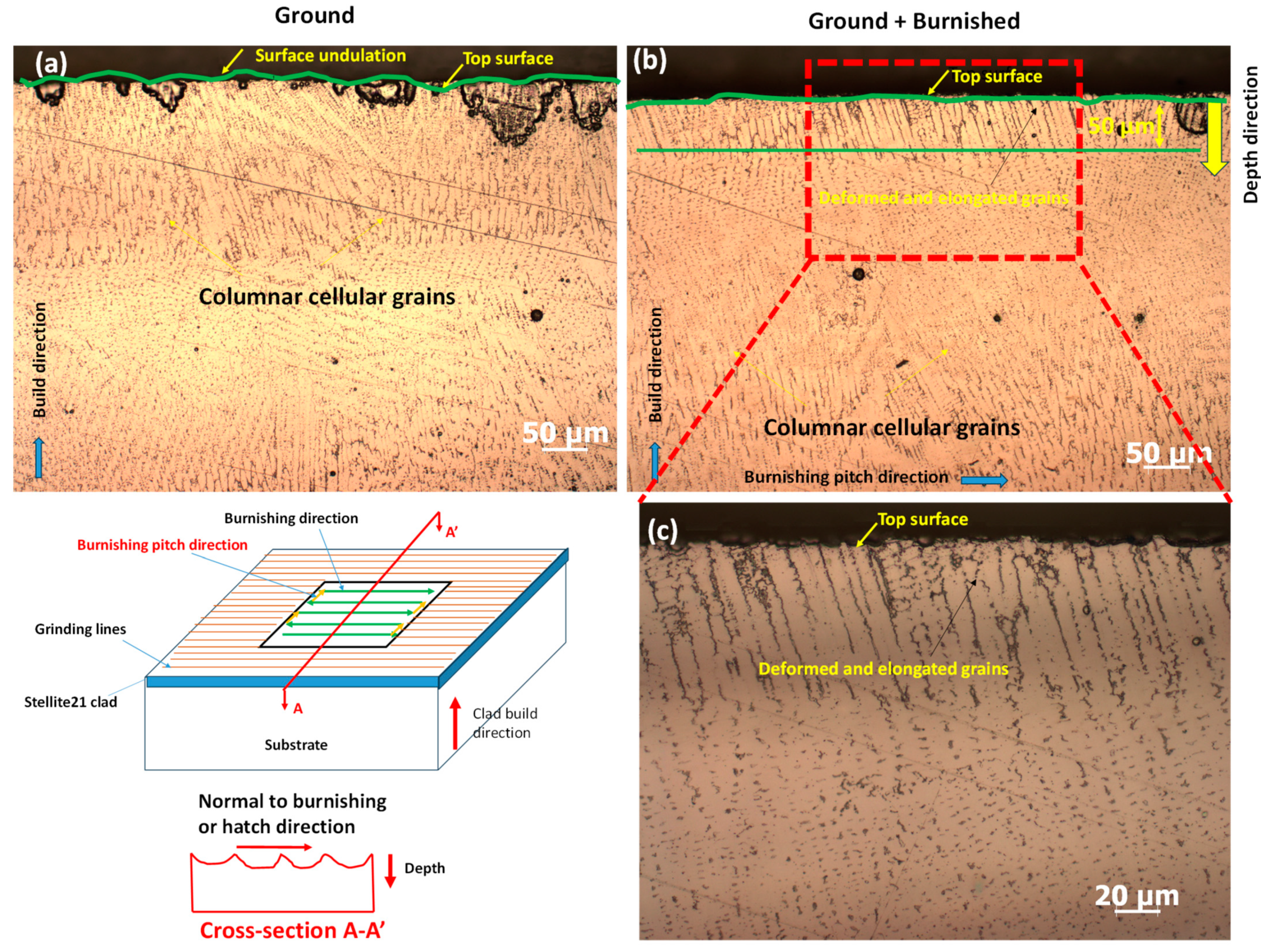 Materials 18 02971 g010