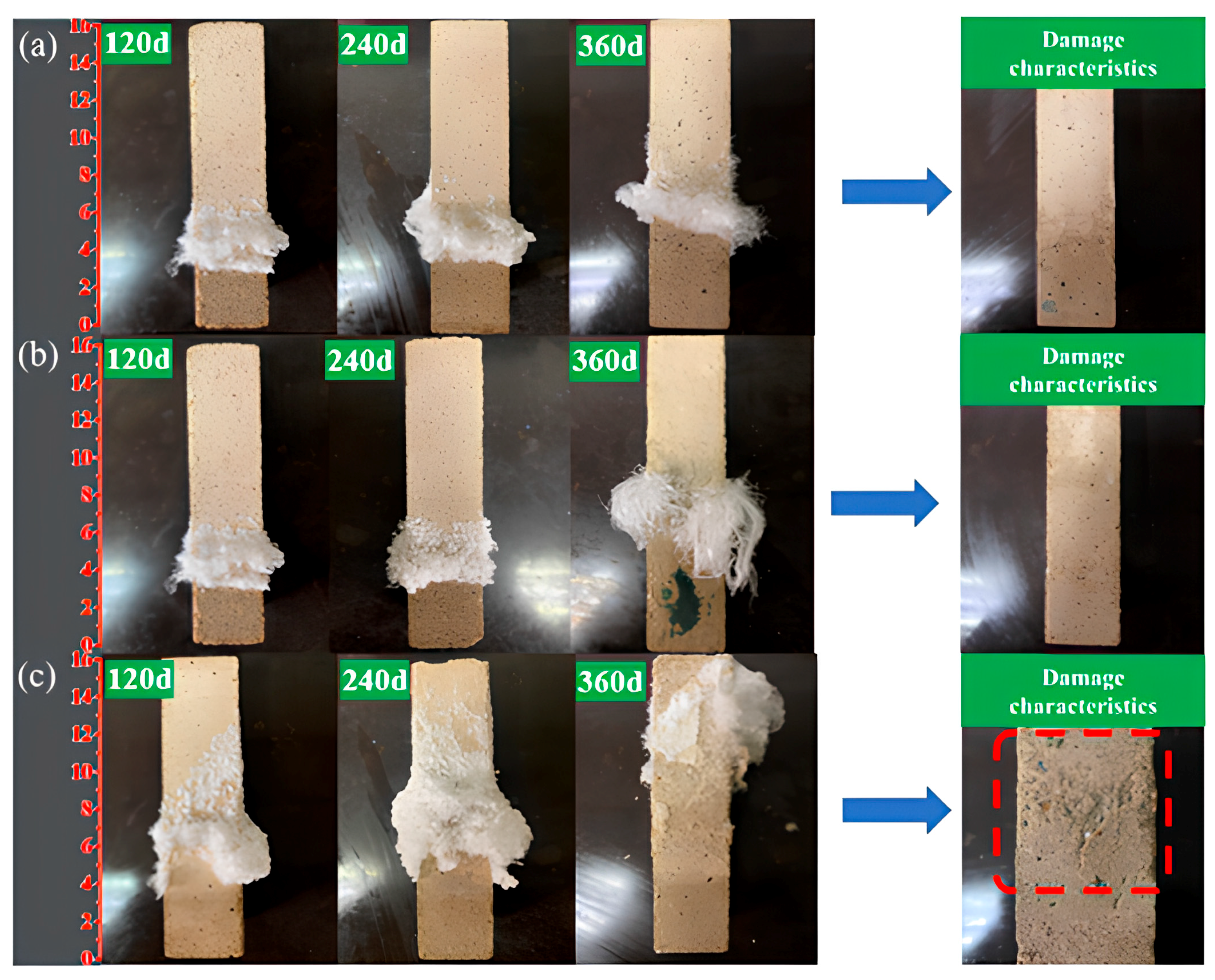 Materials 18 02988 g002