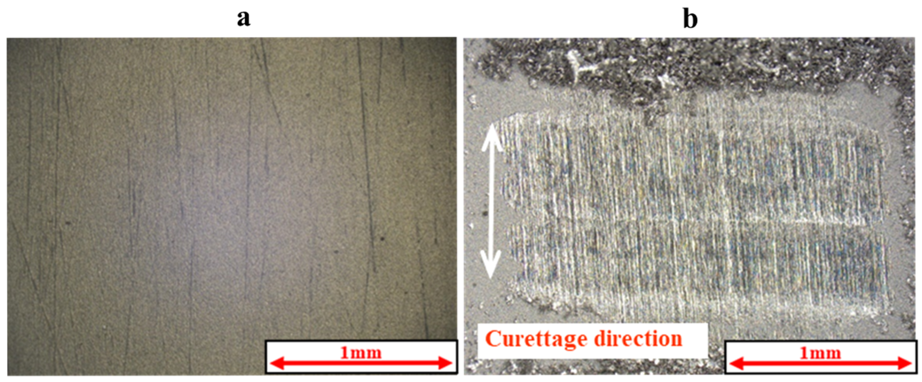 Materials 18 02992 g005