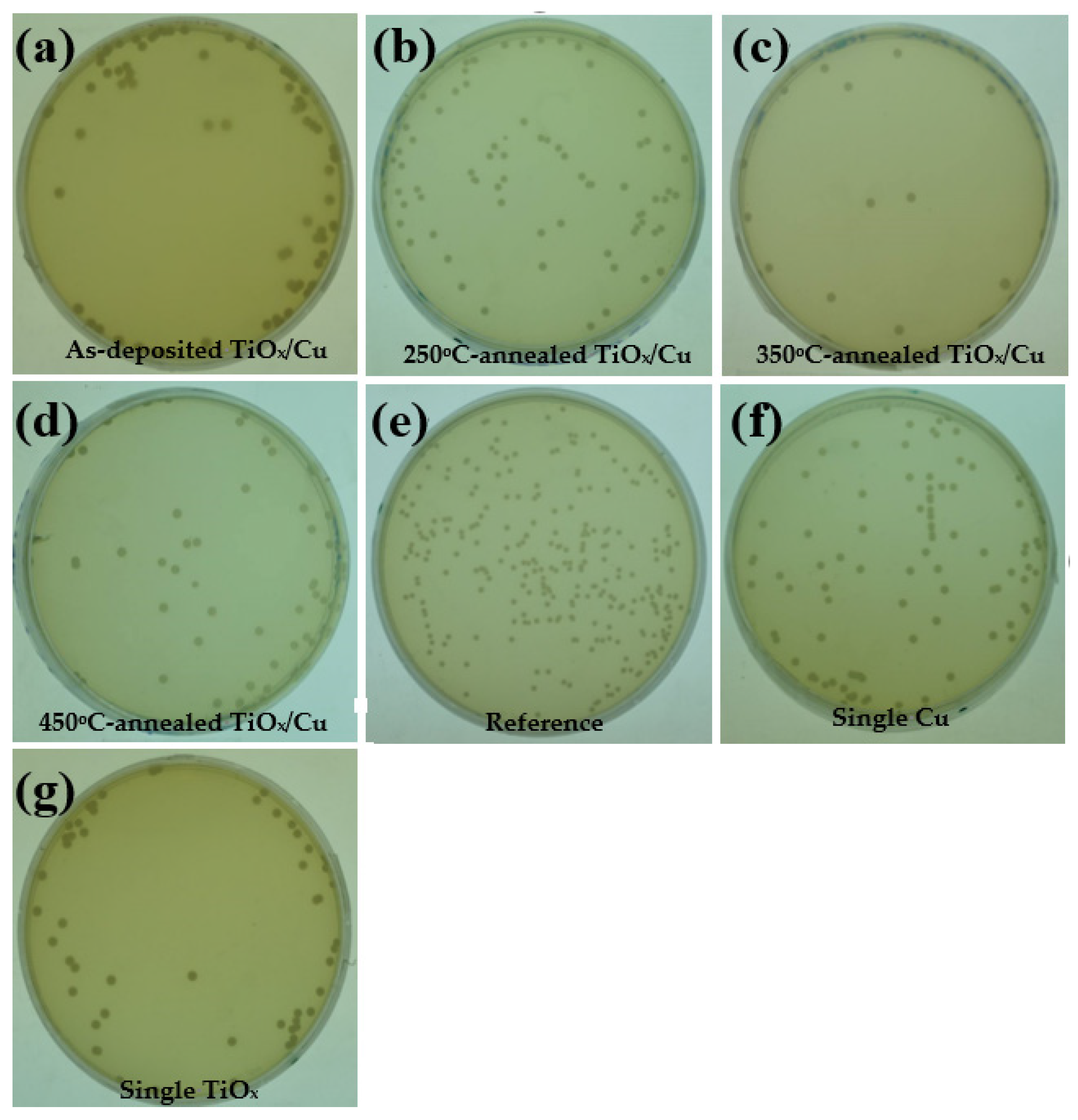 Materials 18 02993 g005