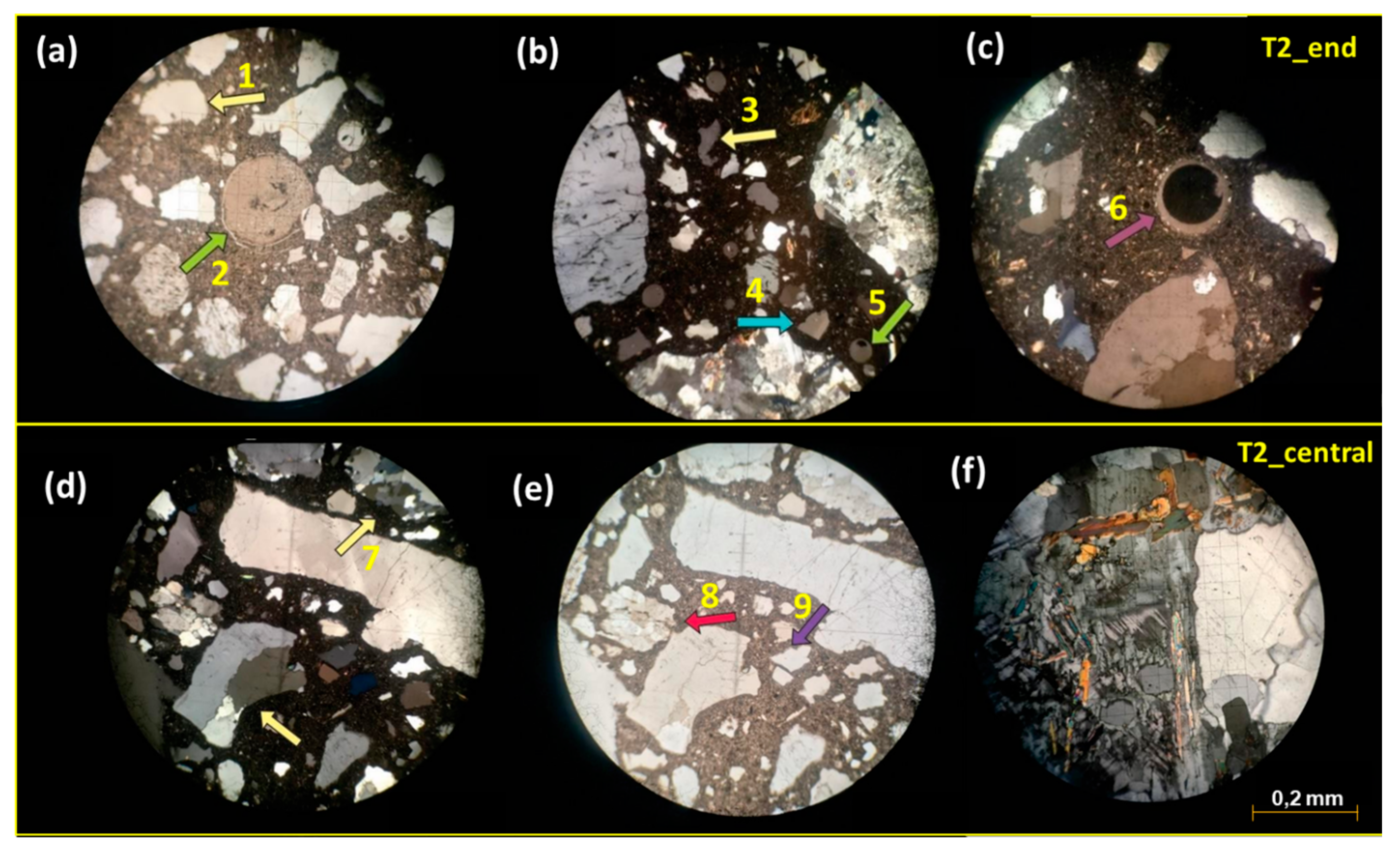 Materials 18 02994 g010