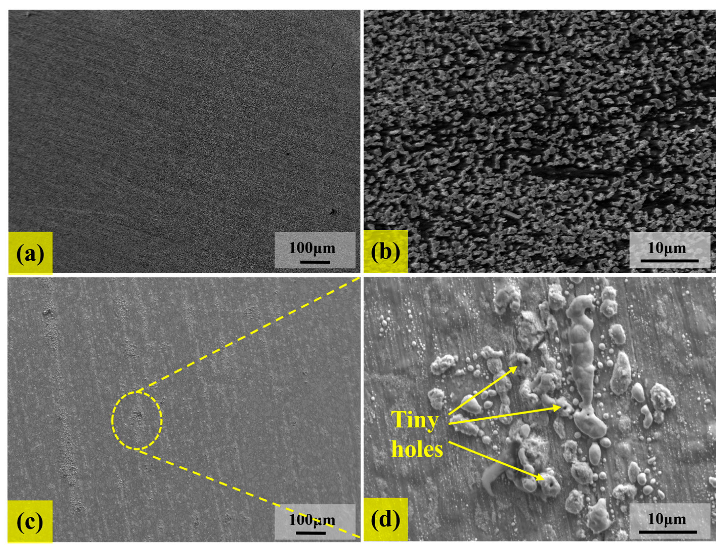 Materials 18 03006 g009