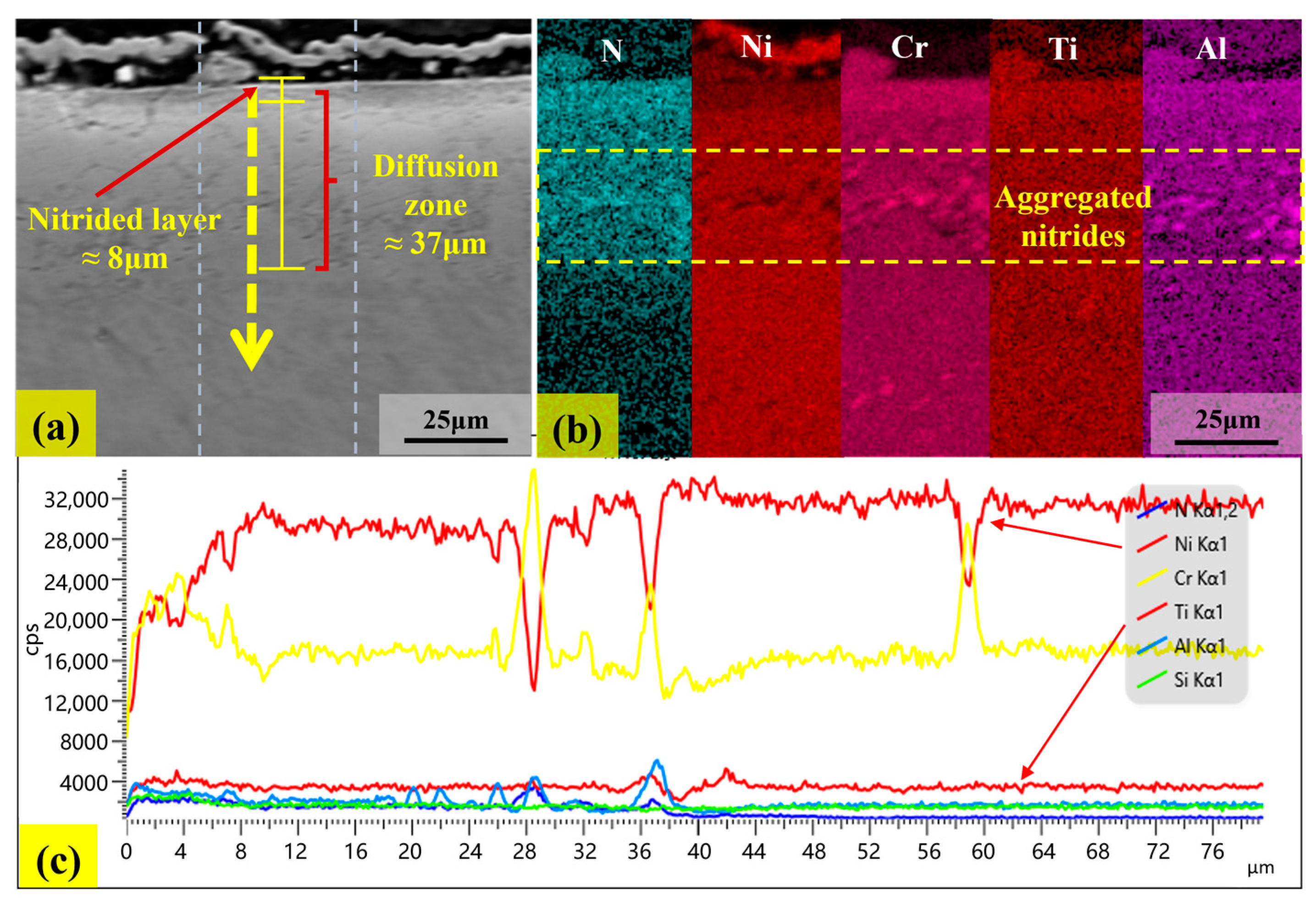 Materials 18 03006 g013
