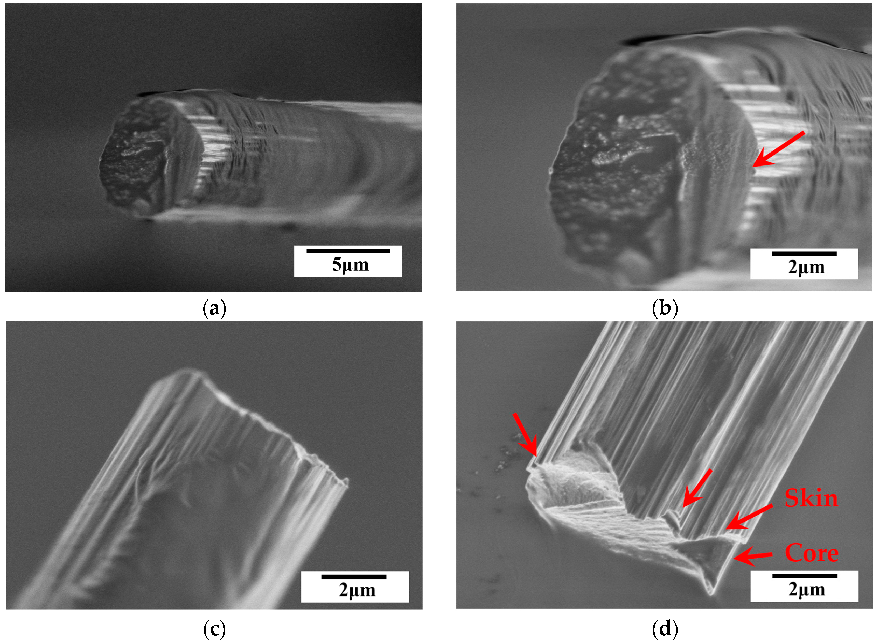 Materials 18 03018 g012