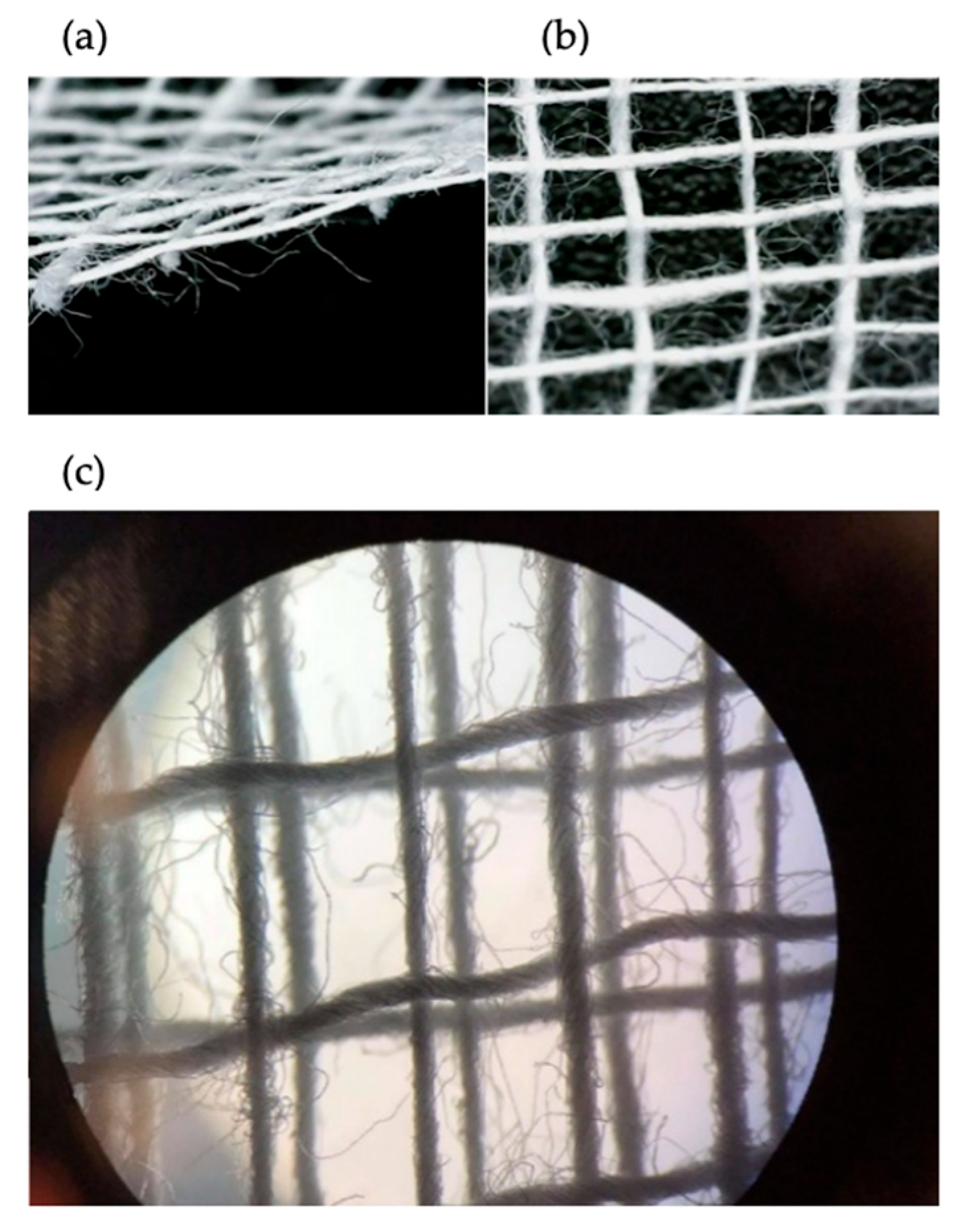 Materials 18 03049 g002