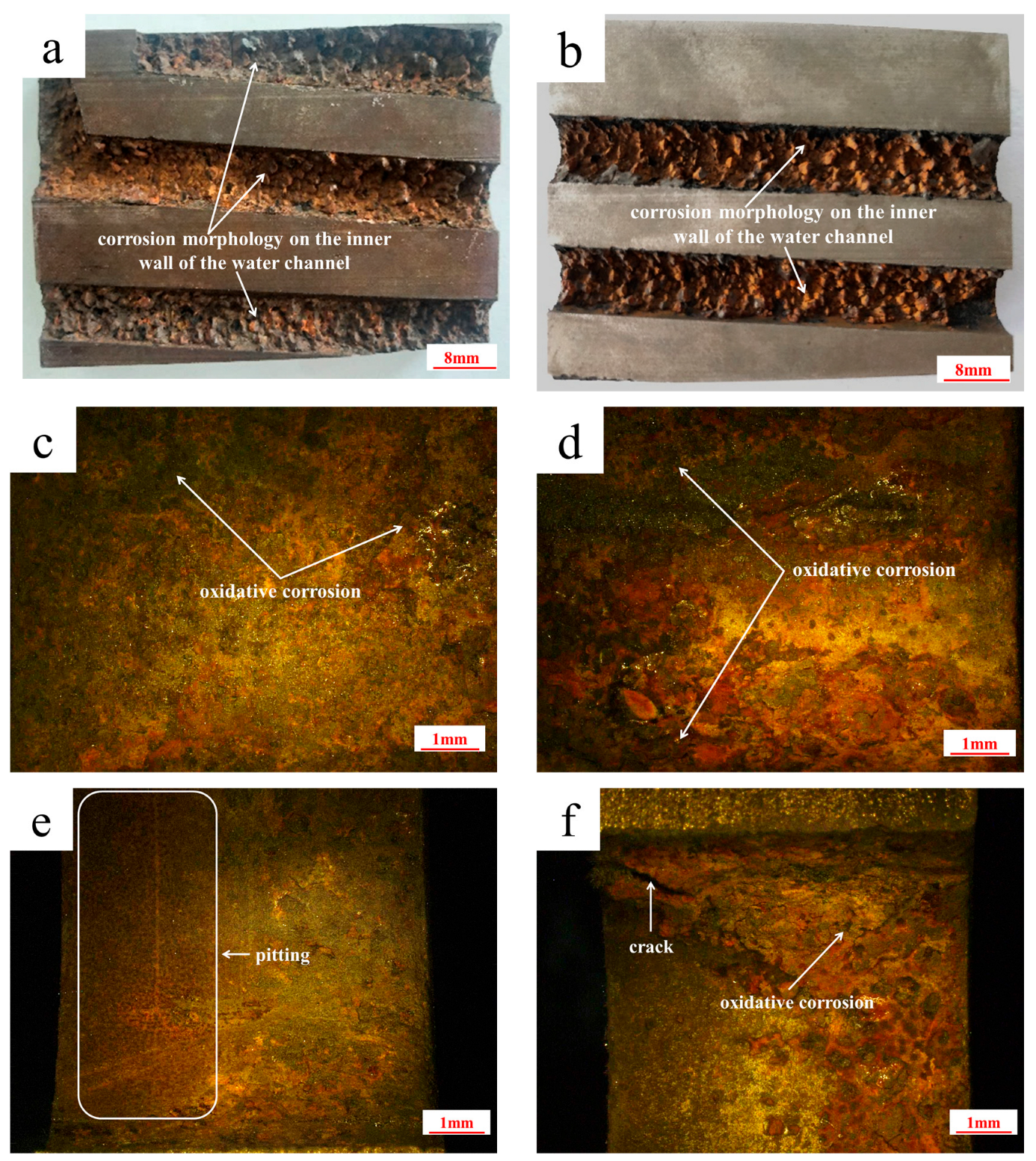 Materials 18 03052 g006