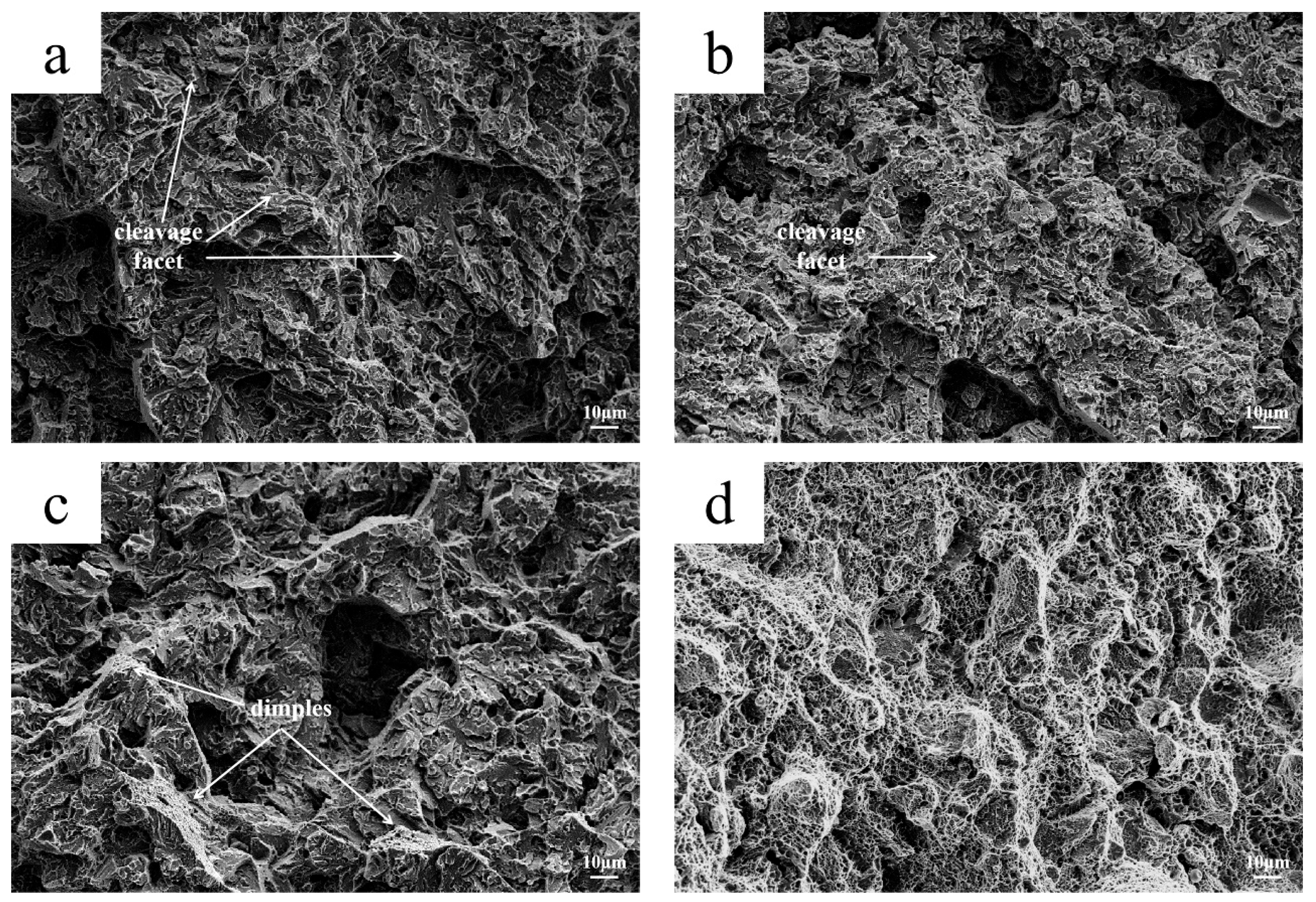 Materials 18 03052 g008