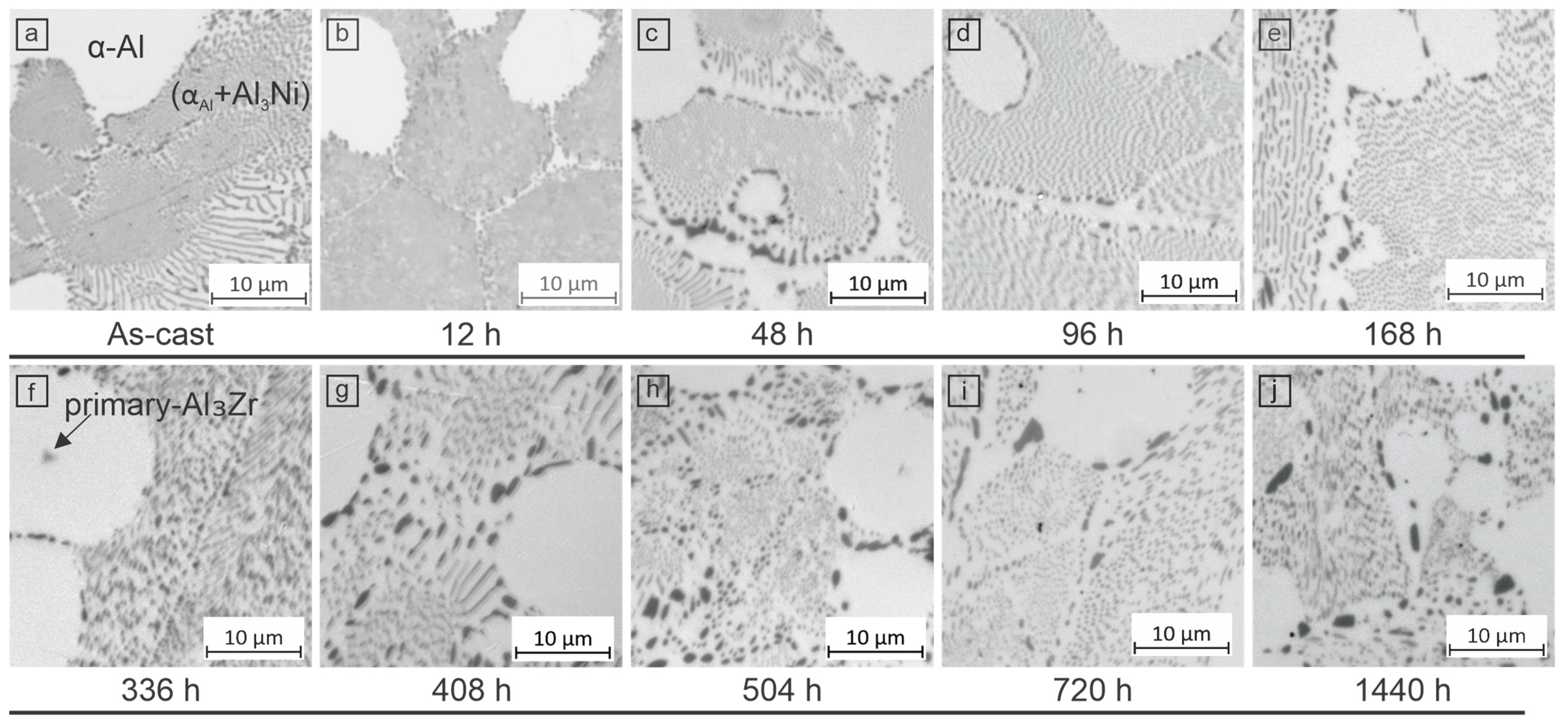 Materials 18 03068 g003