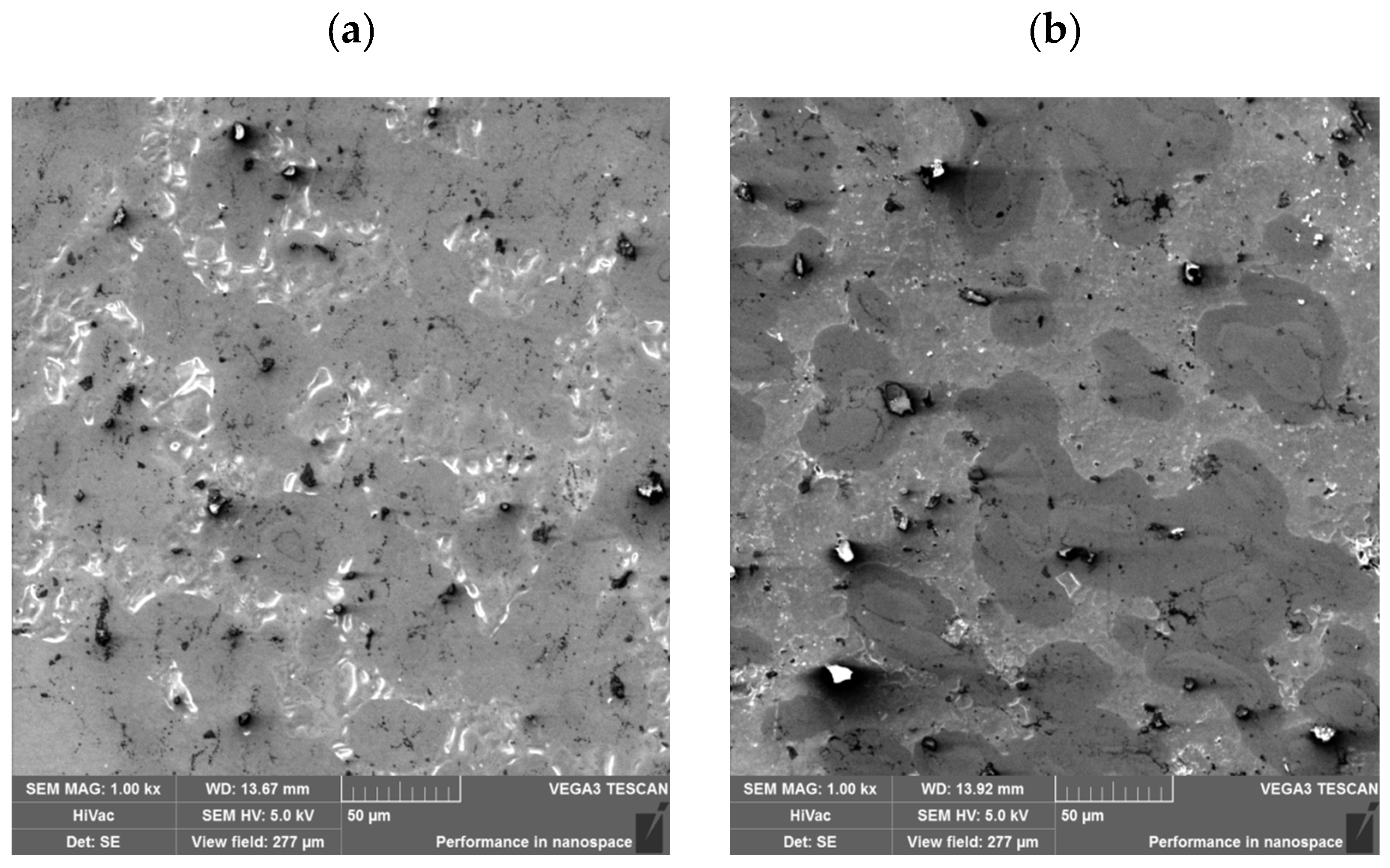 Materials 18 03084 g009