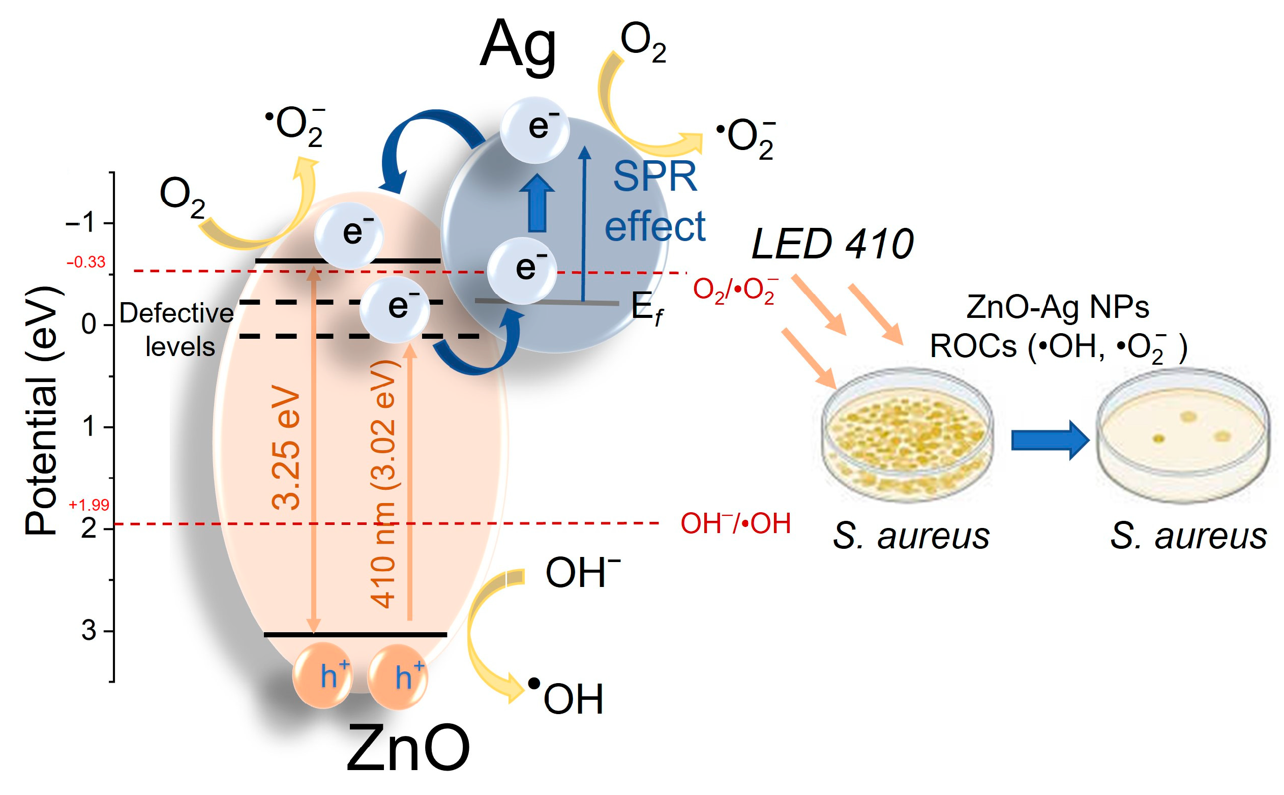 Materials 18 03088 g007