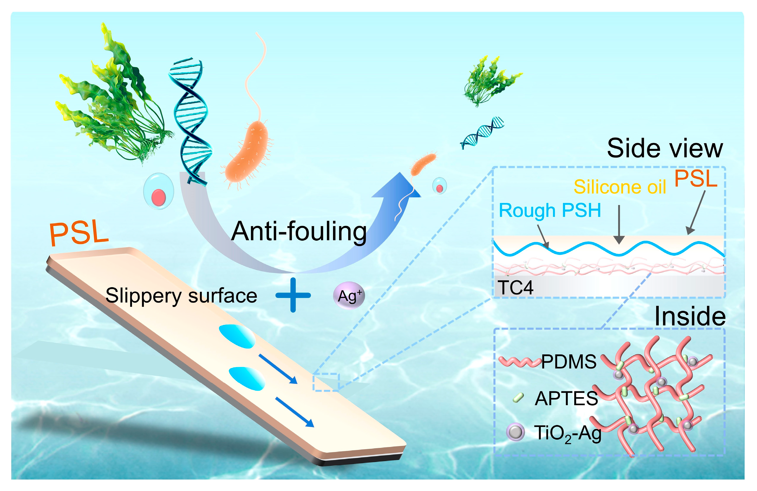 Materials 18 03090 g001