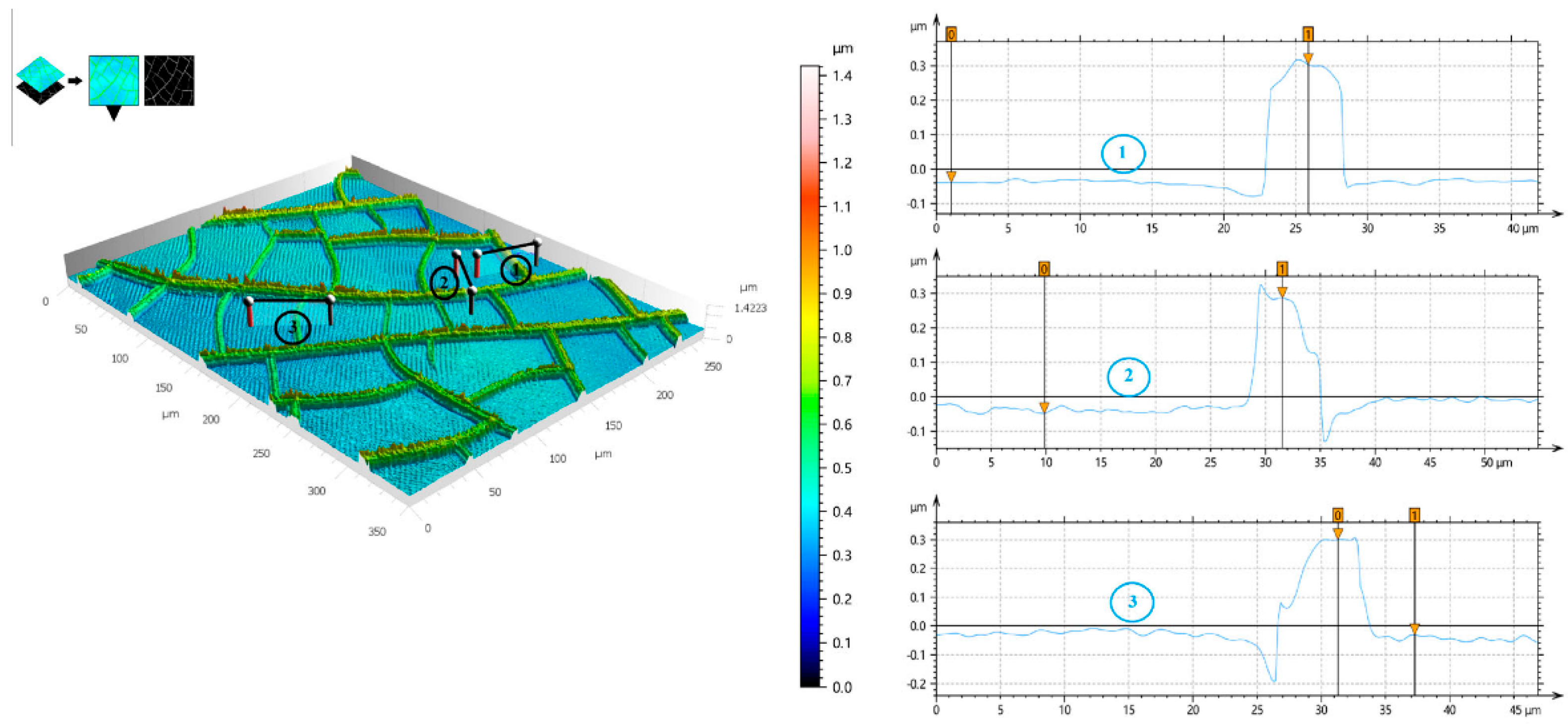 Materials 18 03091 g006