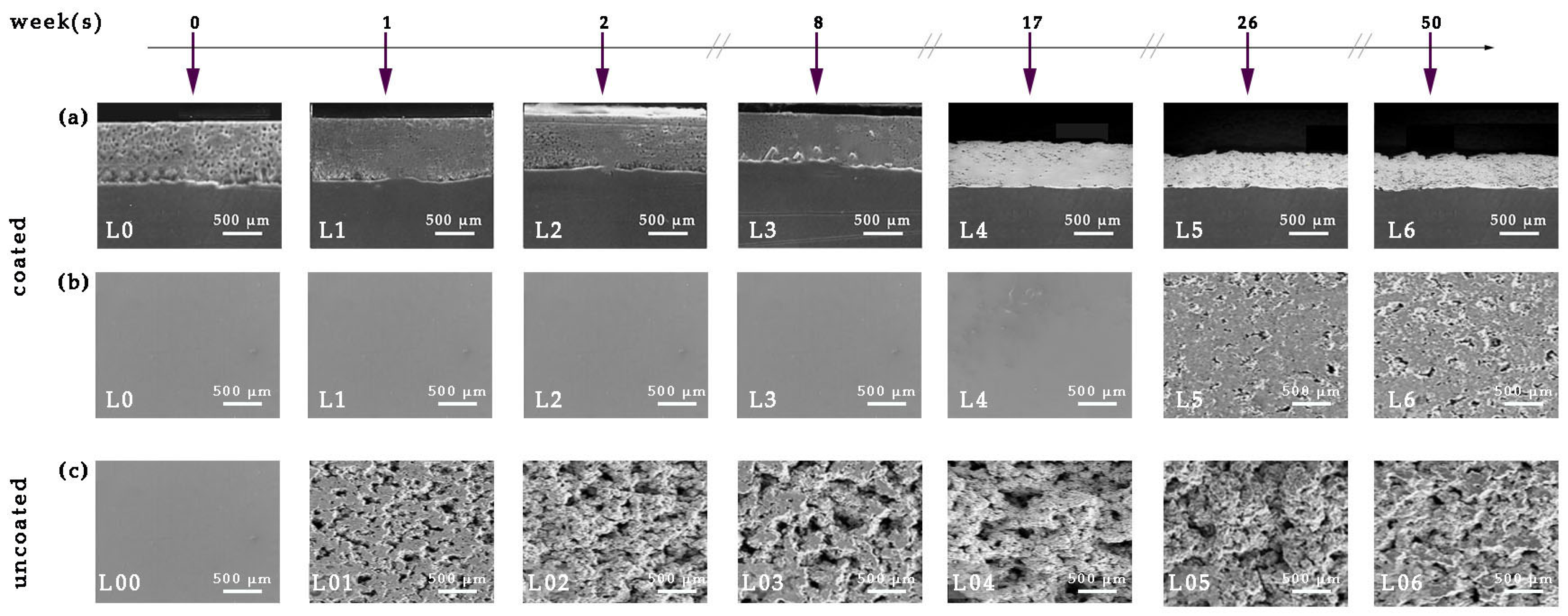 Materials 18 03095 g011