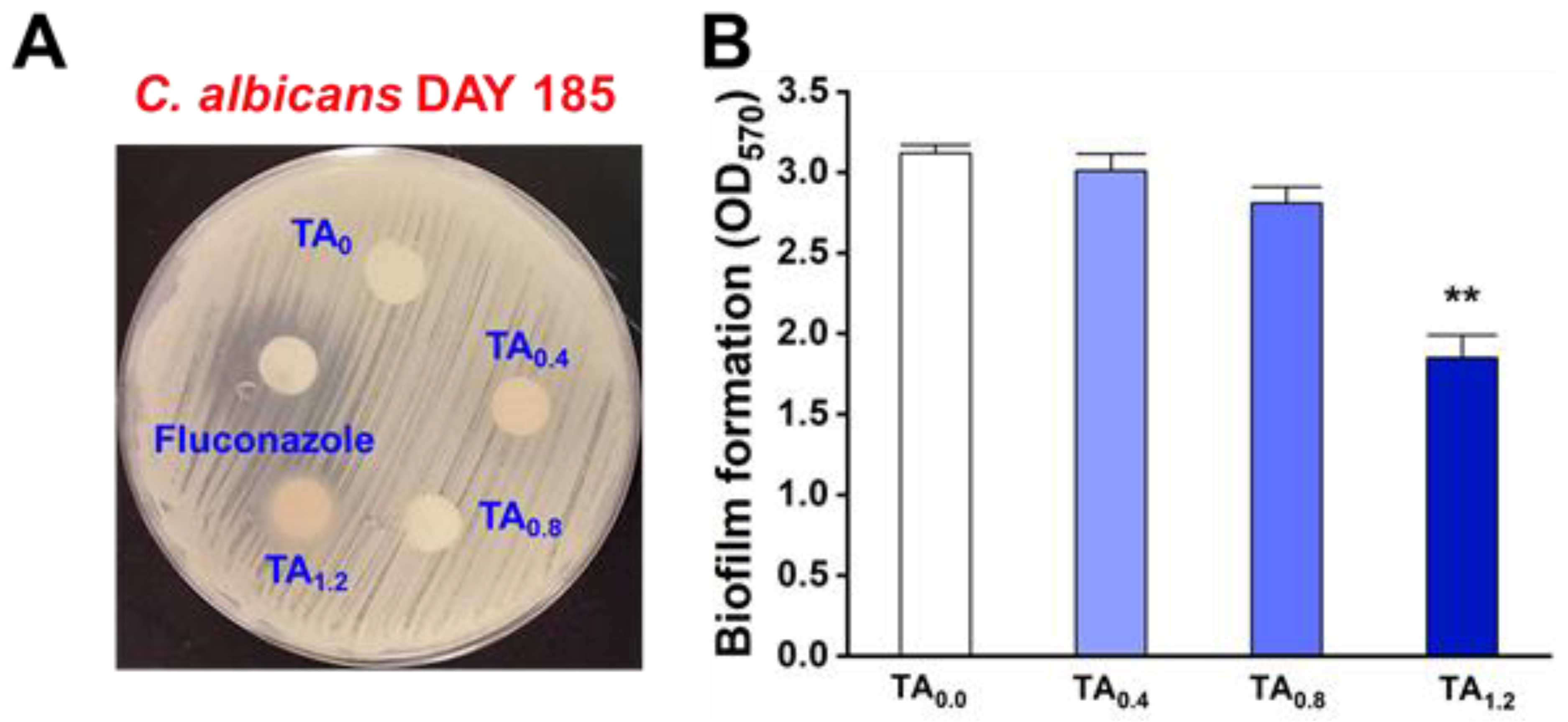 Materials 18 03112 g003