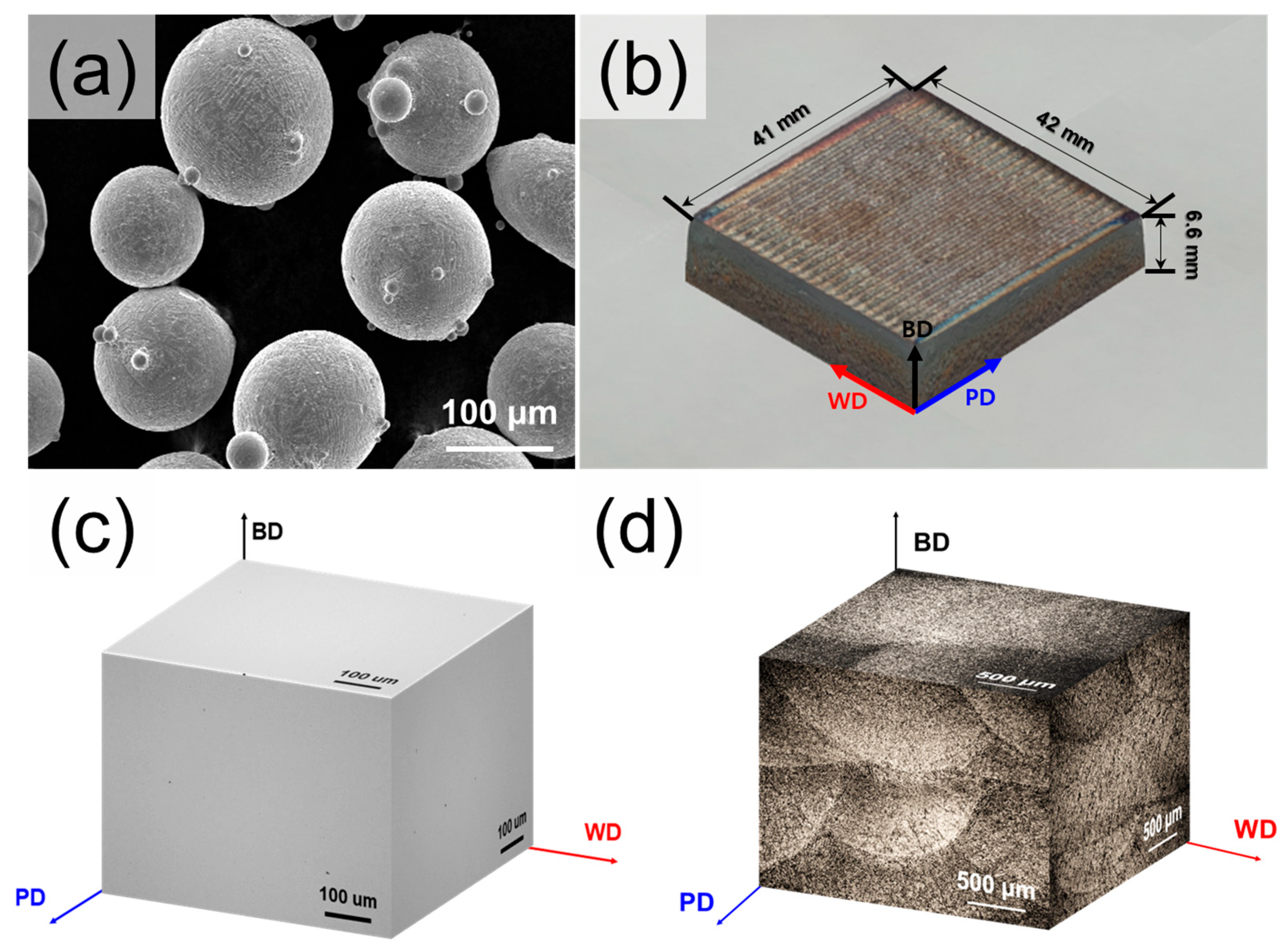 Materials 18 03113 g001 Materials 18 03113 g001