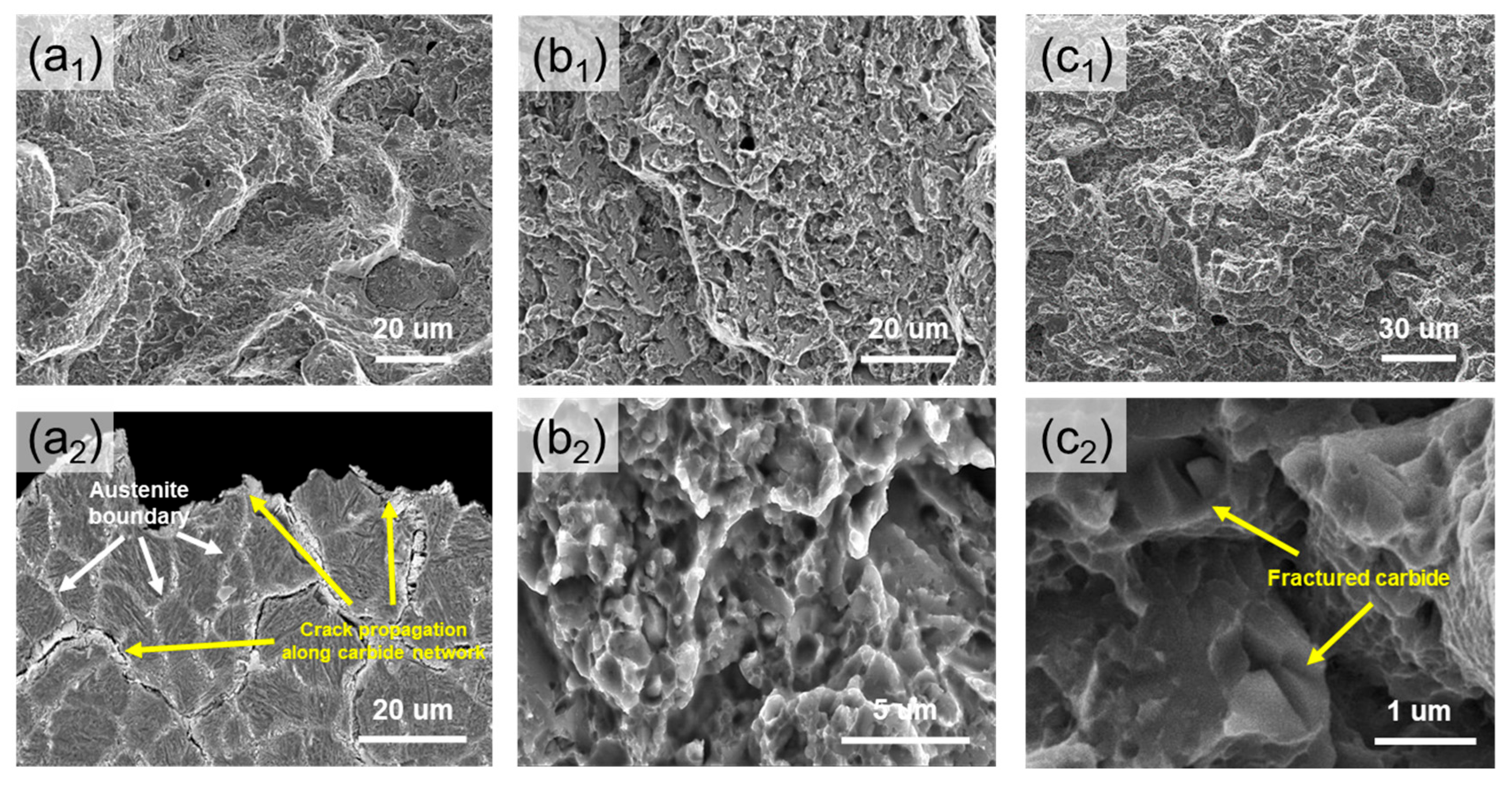 Materials 18 03113 g007 Materials 18 03113 g007