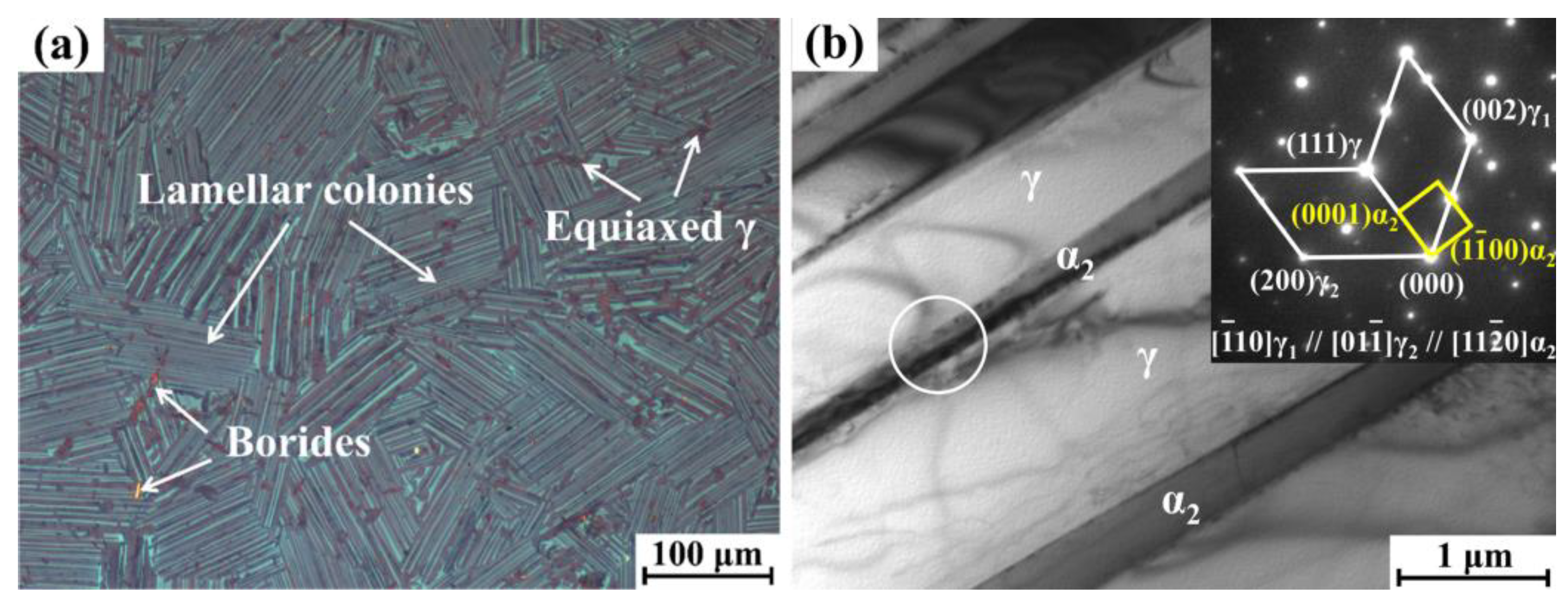 Materials 18 03114 g001