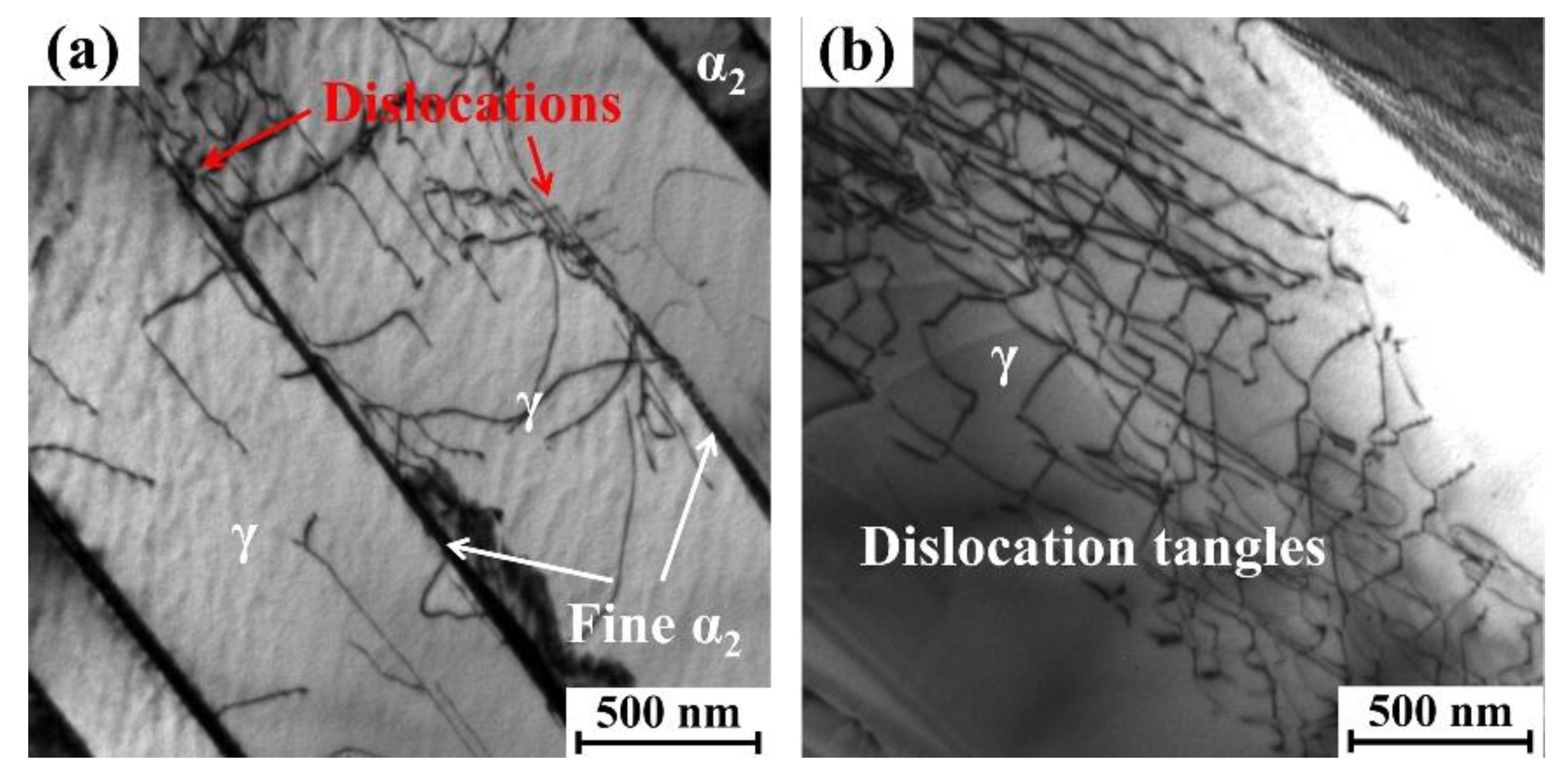 Materials 18 03114 g009