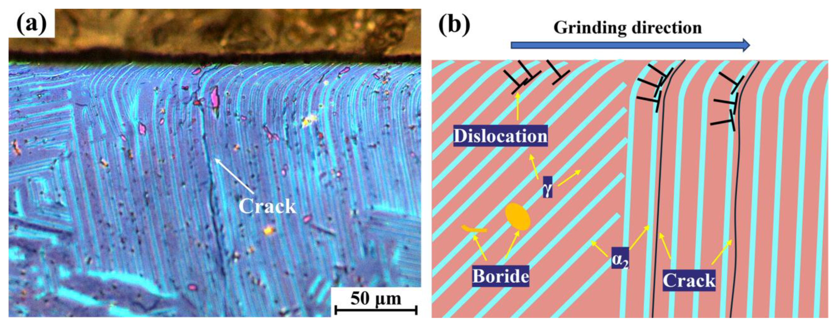 Materials 18 03114 g010
