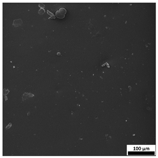 Materials 18 03118 i001