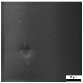 Materials 18 03118 i003