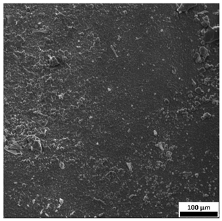 Materials 18 03118 i010