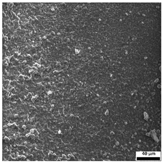 Materials 18 03118 i011