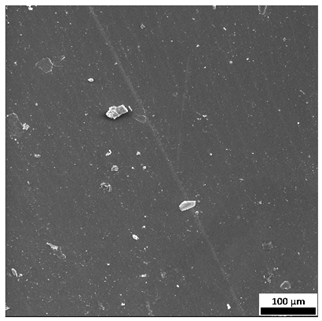 Materials 18 03118 i013